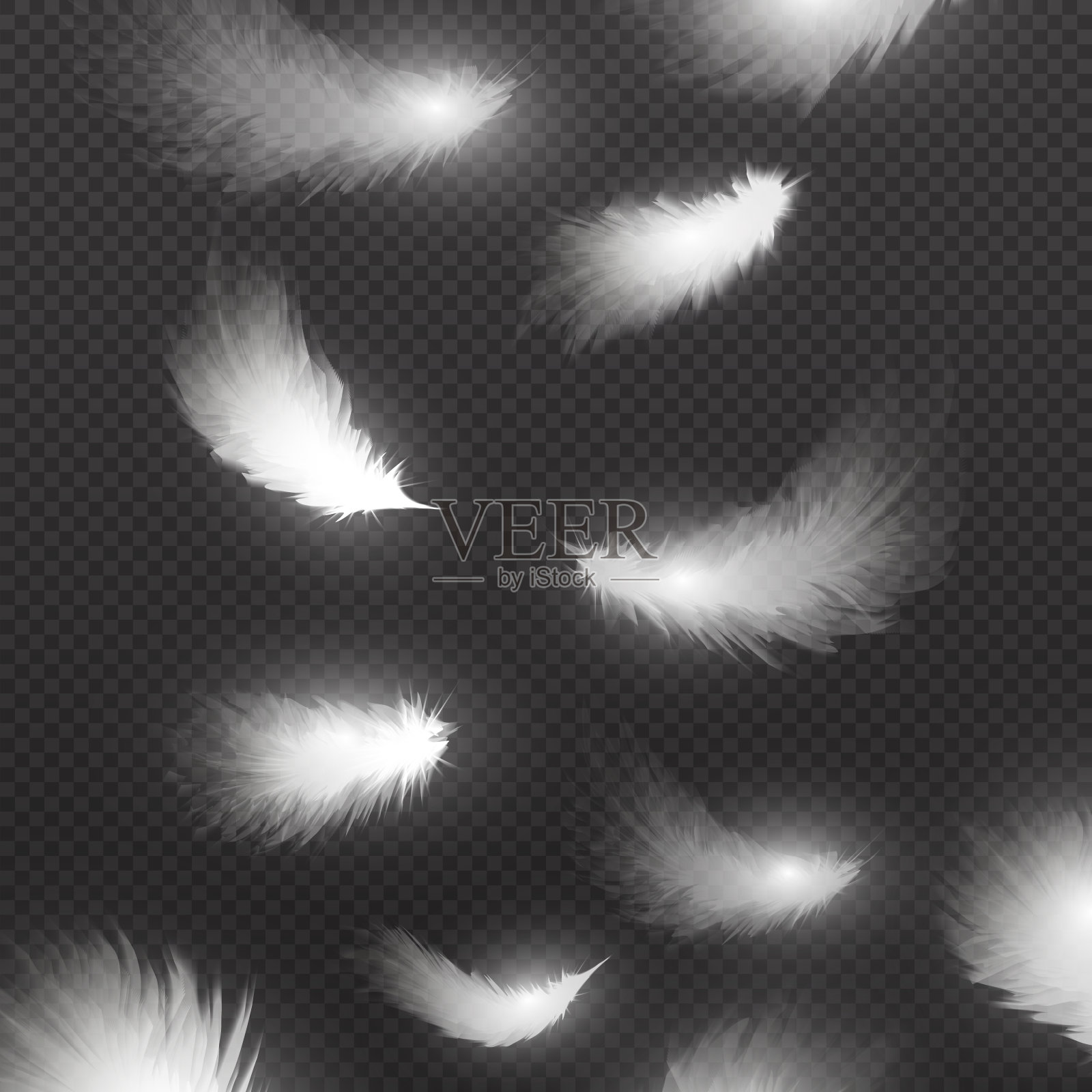 下落真实的白色羽毛孤立在黑色背景矢量插图设计元素图片