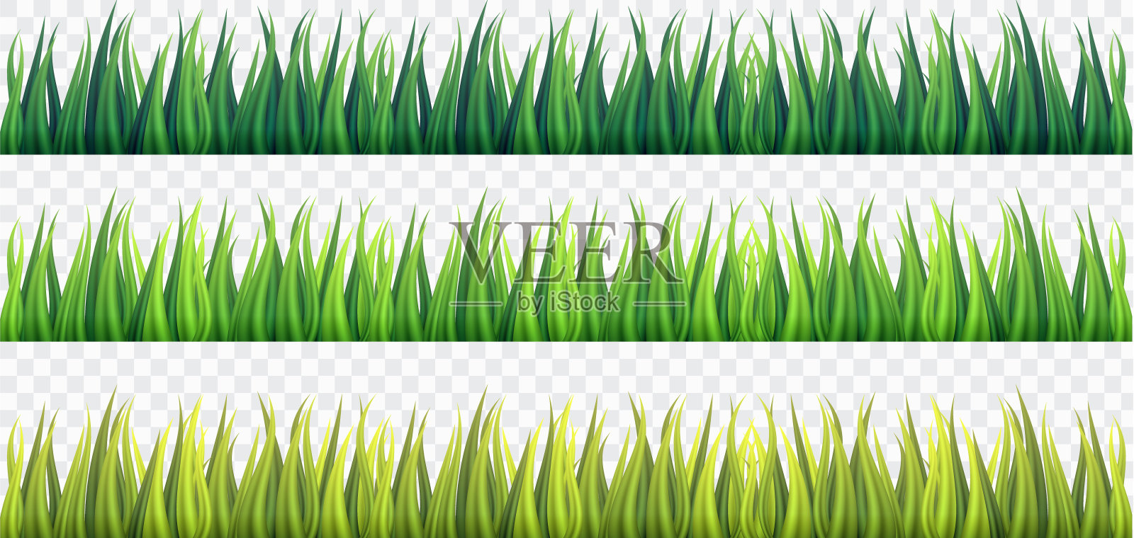 新鲜的绿草边界上的白色孤立的背景，矢量，插图。插画图片素材