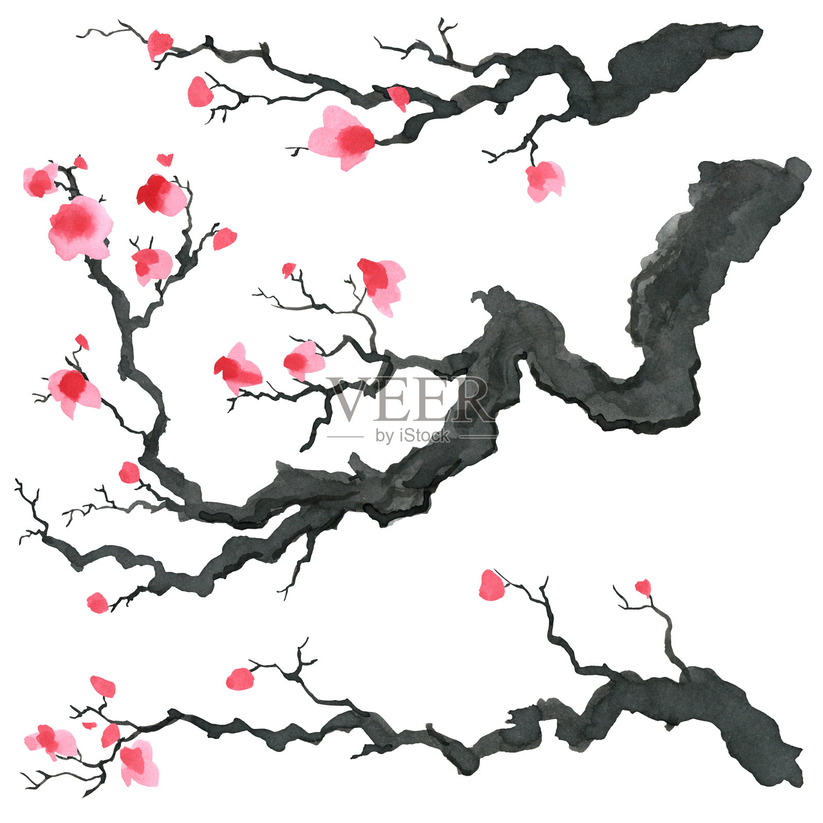日本画风中的樱花插画图片素材