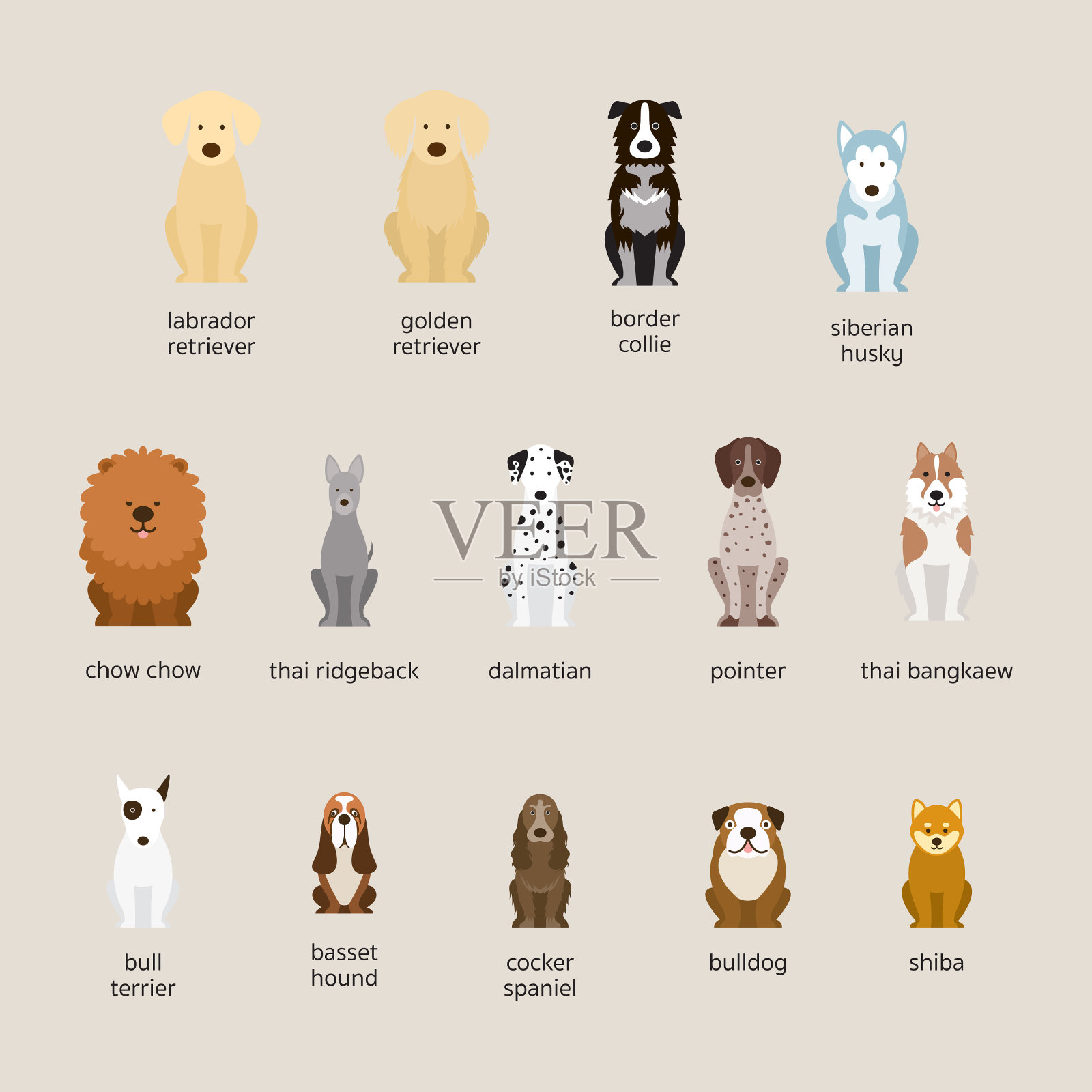 犬种设置，大型和中型插画图片素材
