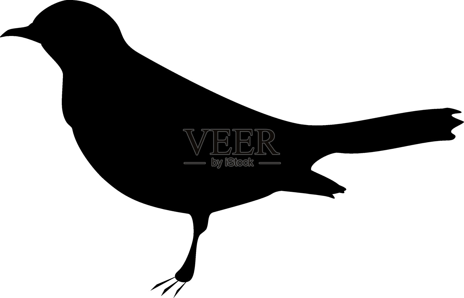 黑鸟黑色轮廓在白色的背景，向量设计元素图片