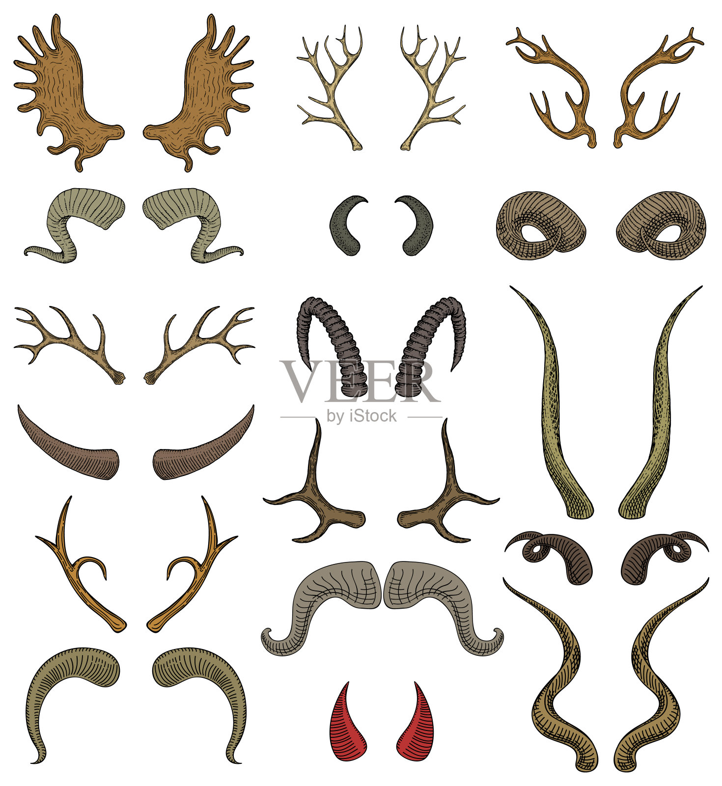 角向量有角的野生动物和鹿或羚羊的鹿角插图套角狩猎奖杯的驯鹿孤立在白色的背景插画图片素材