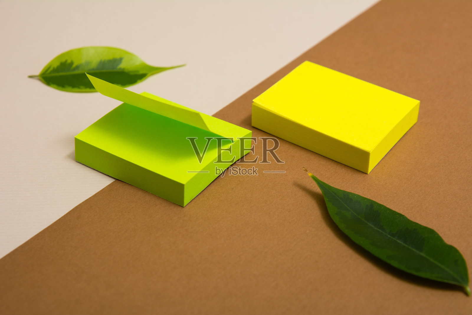 绿色和黄色的粘纸在划了界的背景上。照片摄影图片