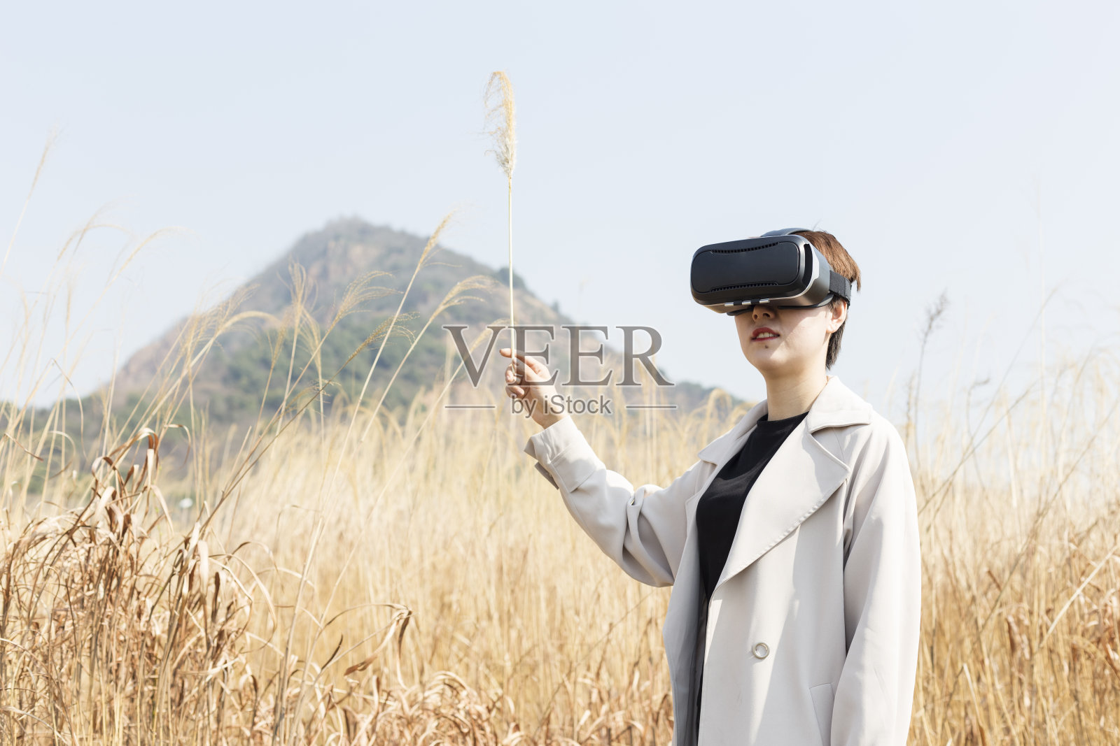 草地上戴着VR眼镜的女子照片摄影图片