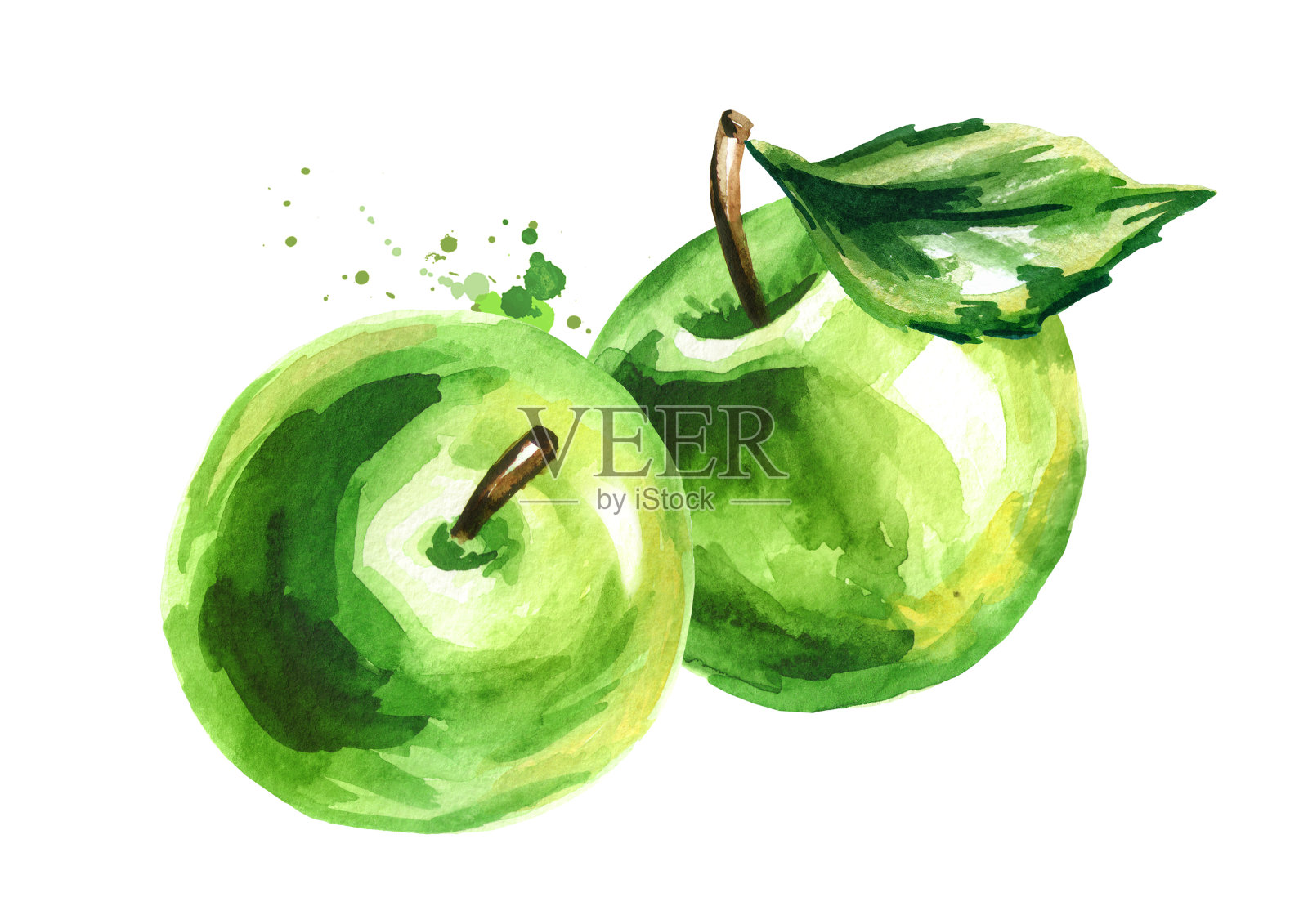 绿色的苹果。手绘水彩插图，孤立的白色背景插画图片素材