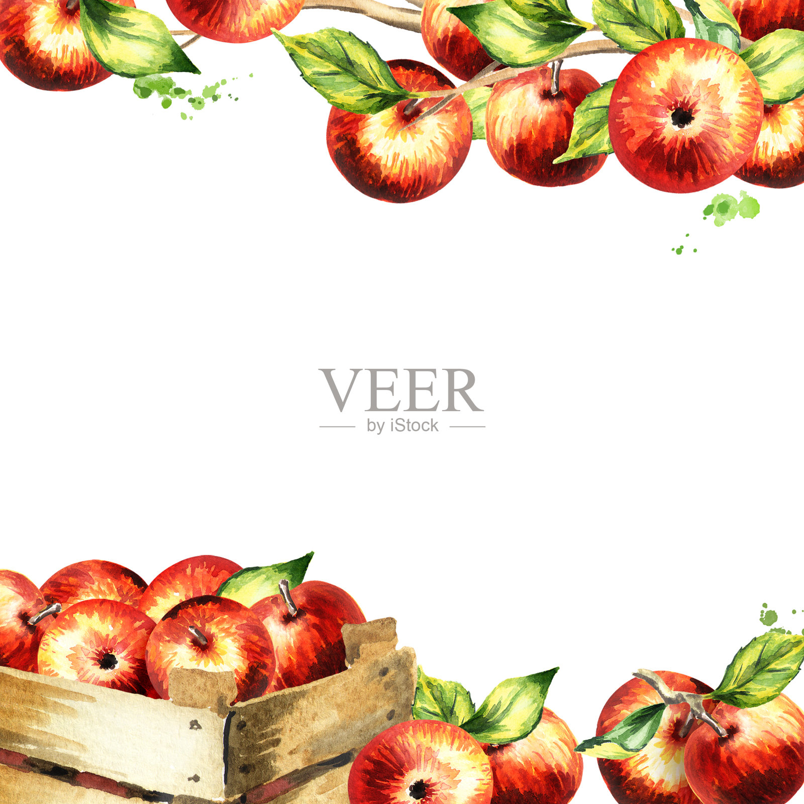 红苹果和树叶的方形背景。水彩手绘remplate插画图片素材