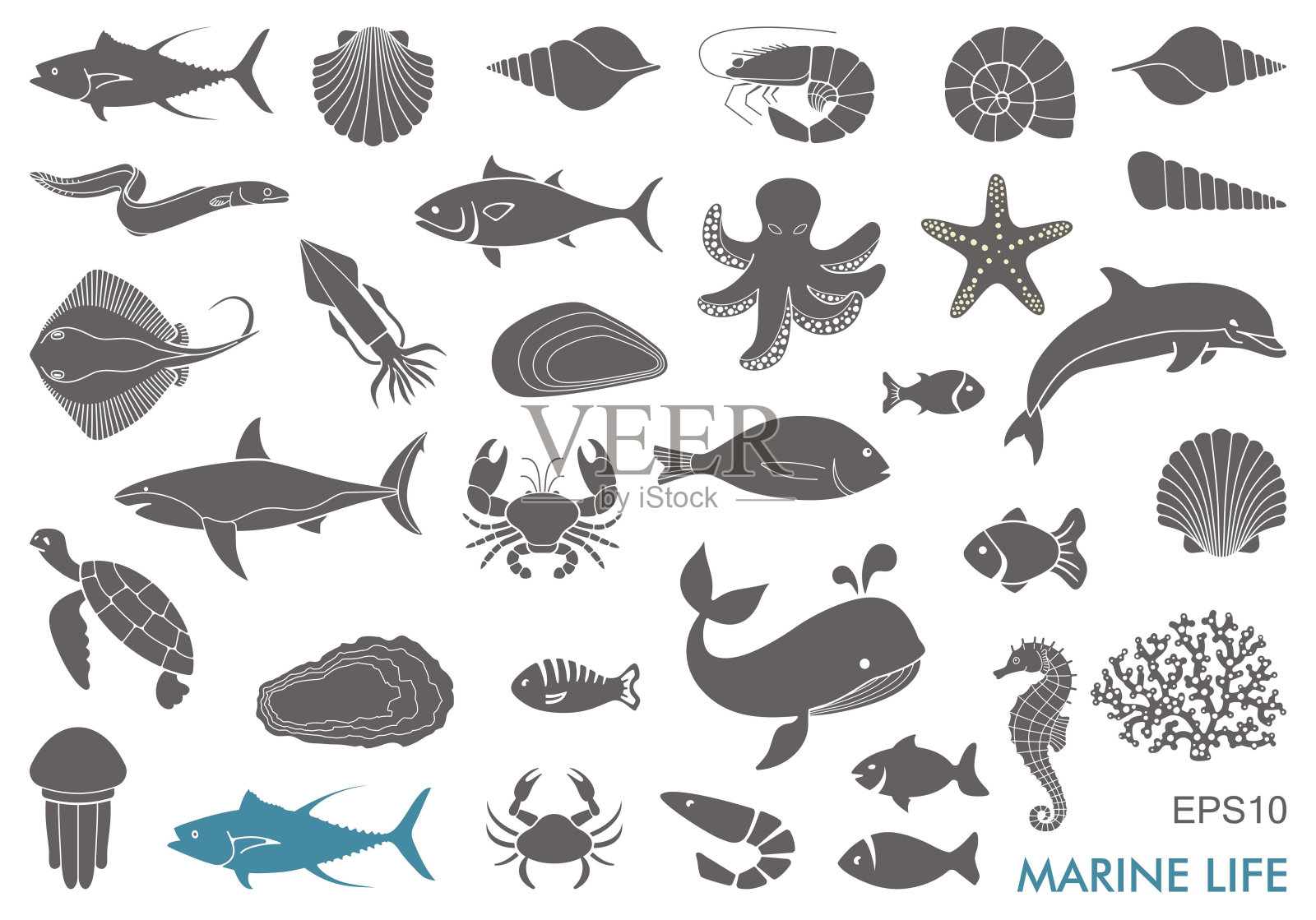 海洋生物的图标图标素材