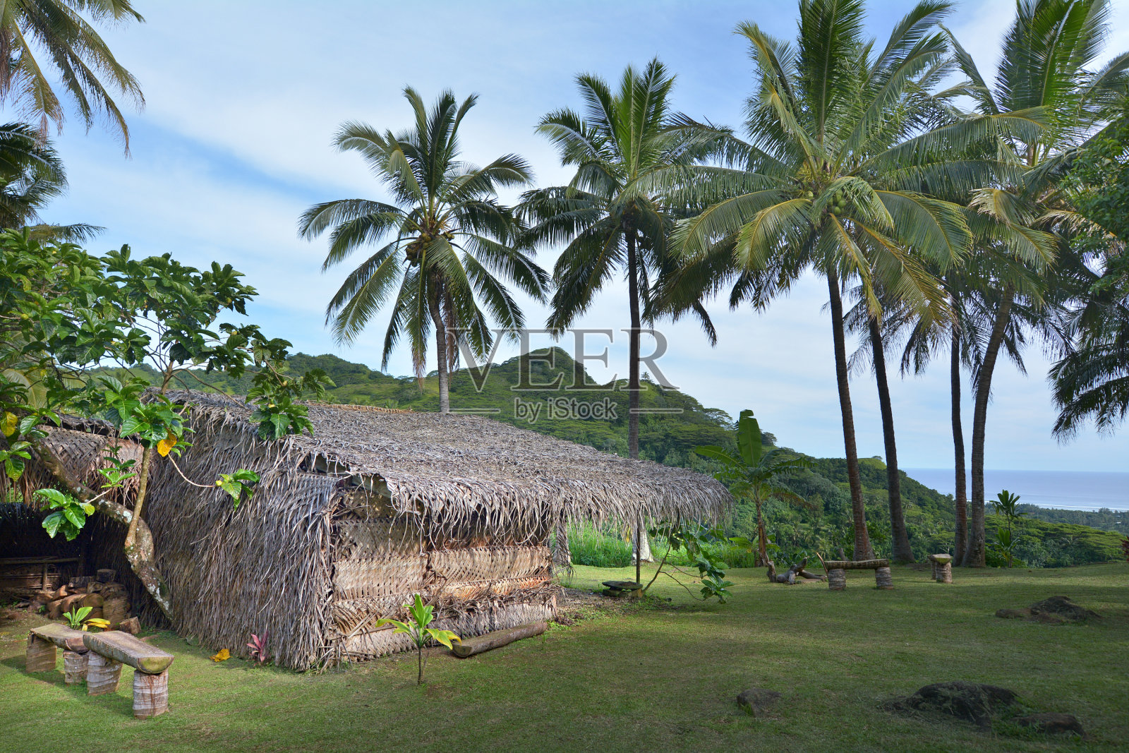 南太平洋波利尼西亚村庄拉罗汤加库克群岛照片摄影图片