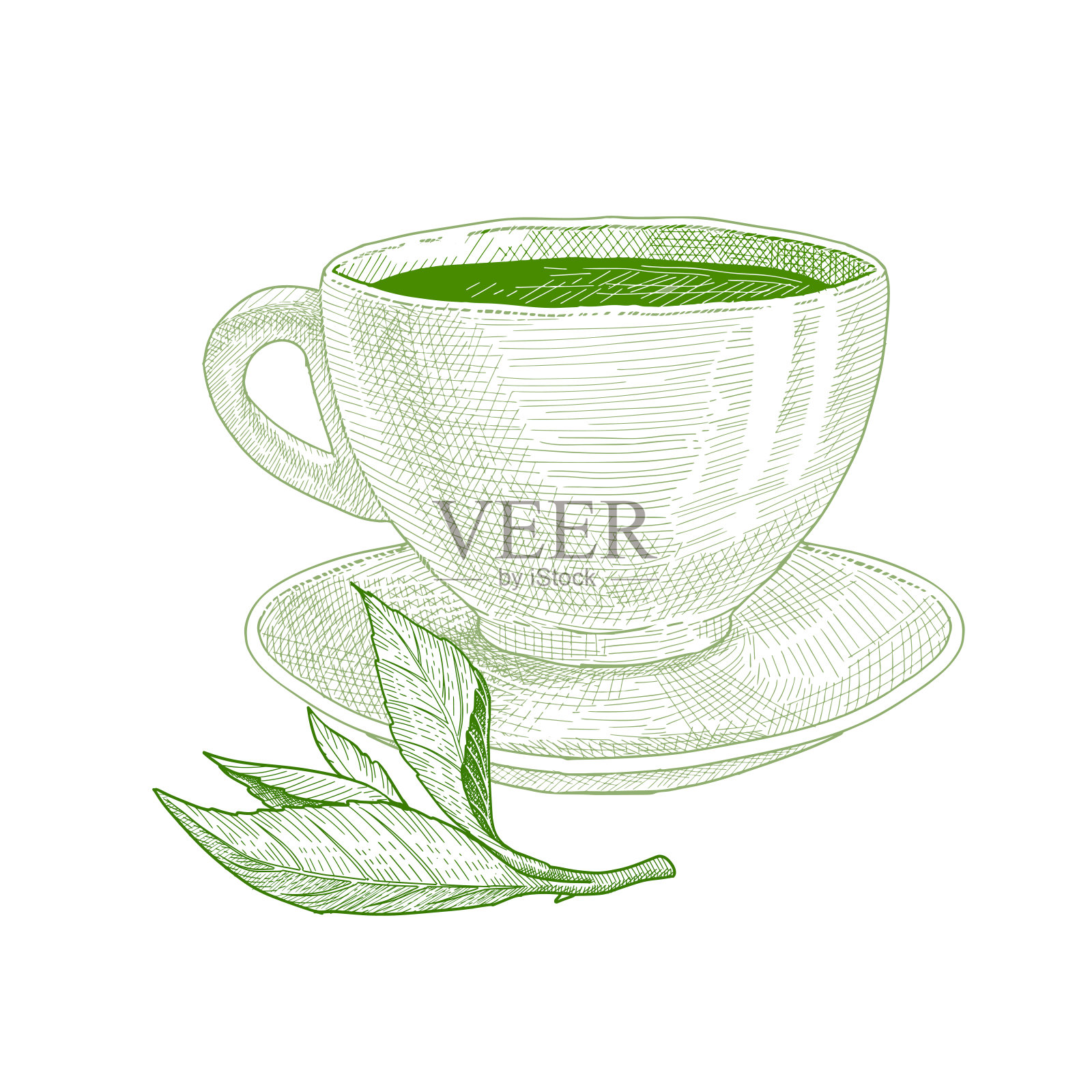 用绿茶和茶叶制成的茶杯。插画图片素材