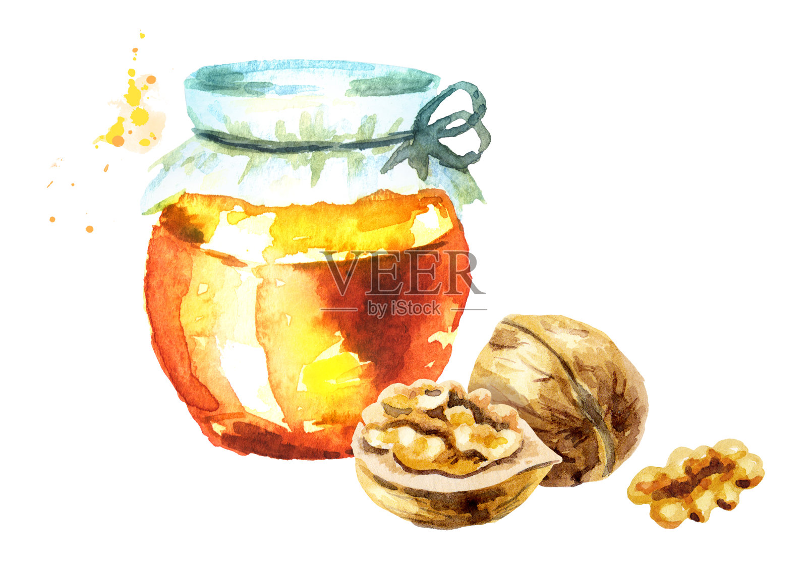 新鲜蜂蜜和核桃。水彩手绘插图插画图片素材