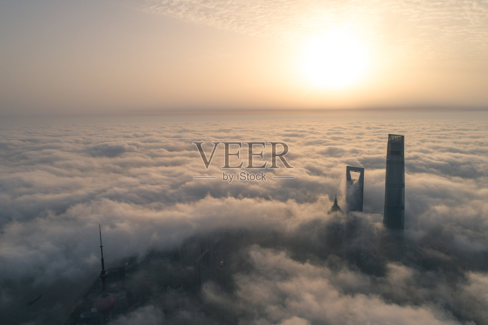 云上的上海摩天大楼照片摄影图片