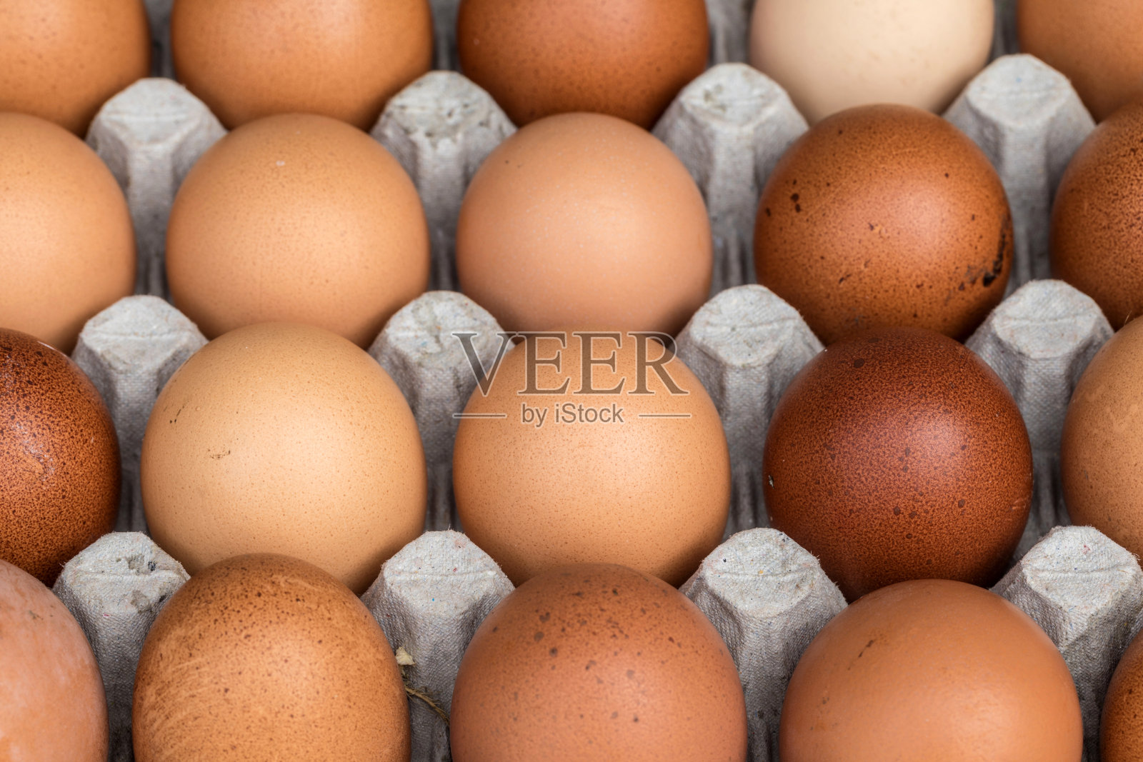 鸡蛋是从农场运来的照片摄影图片