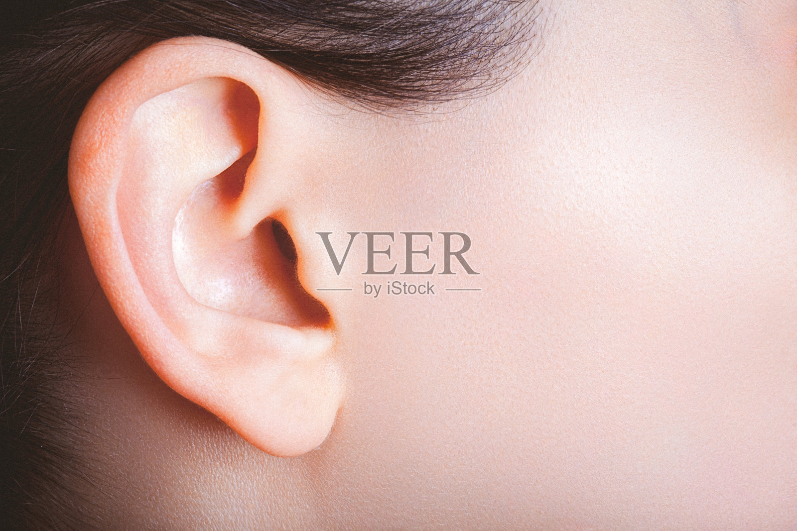 耳朵結構耳廓耳道, 耳蝸, 人體器官, 眼耳口鼻素材圖案，PSD和PNG圖片免費下載