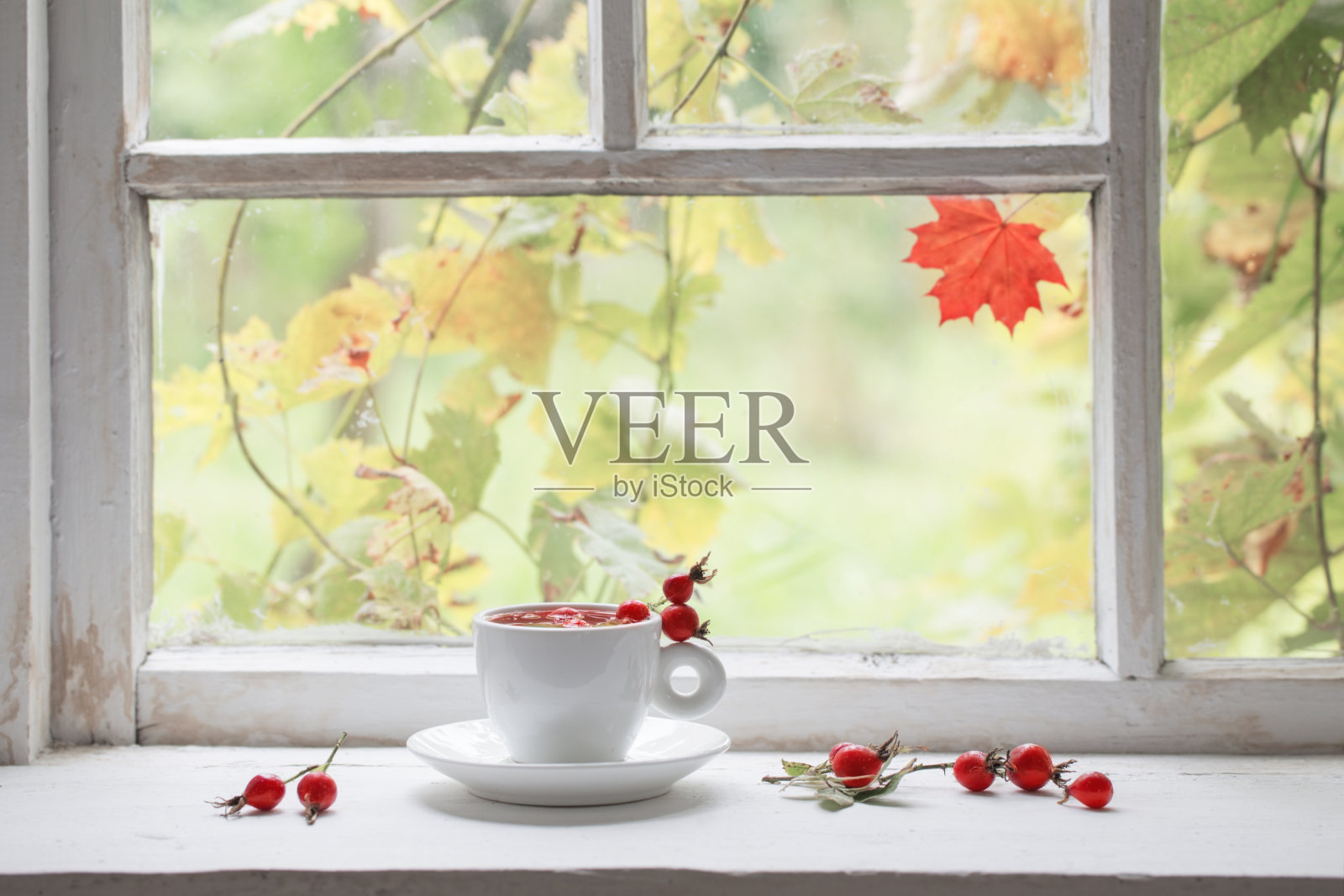 窗台上放着玫瑰莓茶照片摄影图片