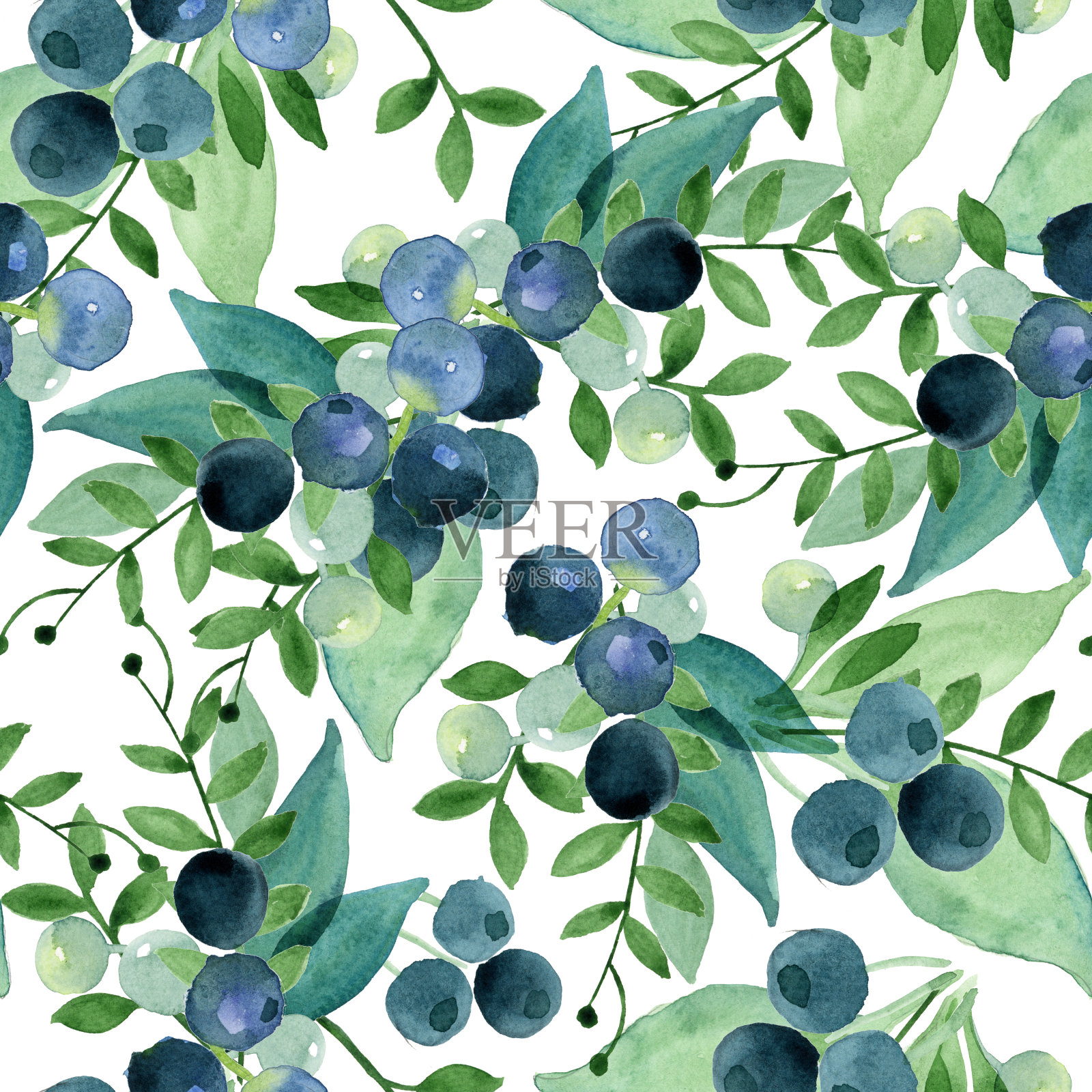 水彩无缝模式的绿色树叶和蓝色浆果。插画图片素材