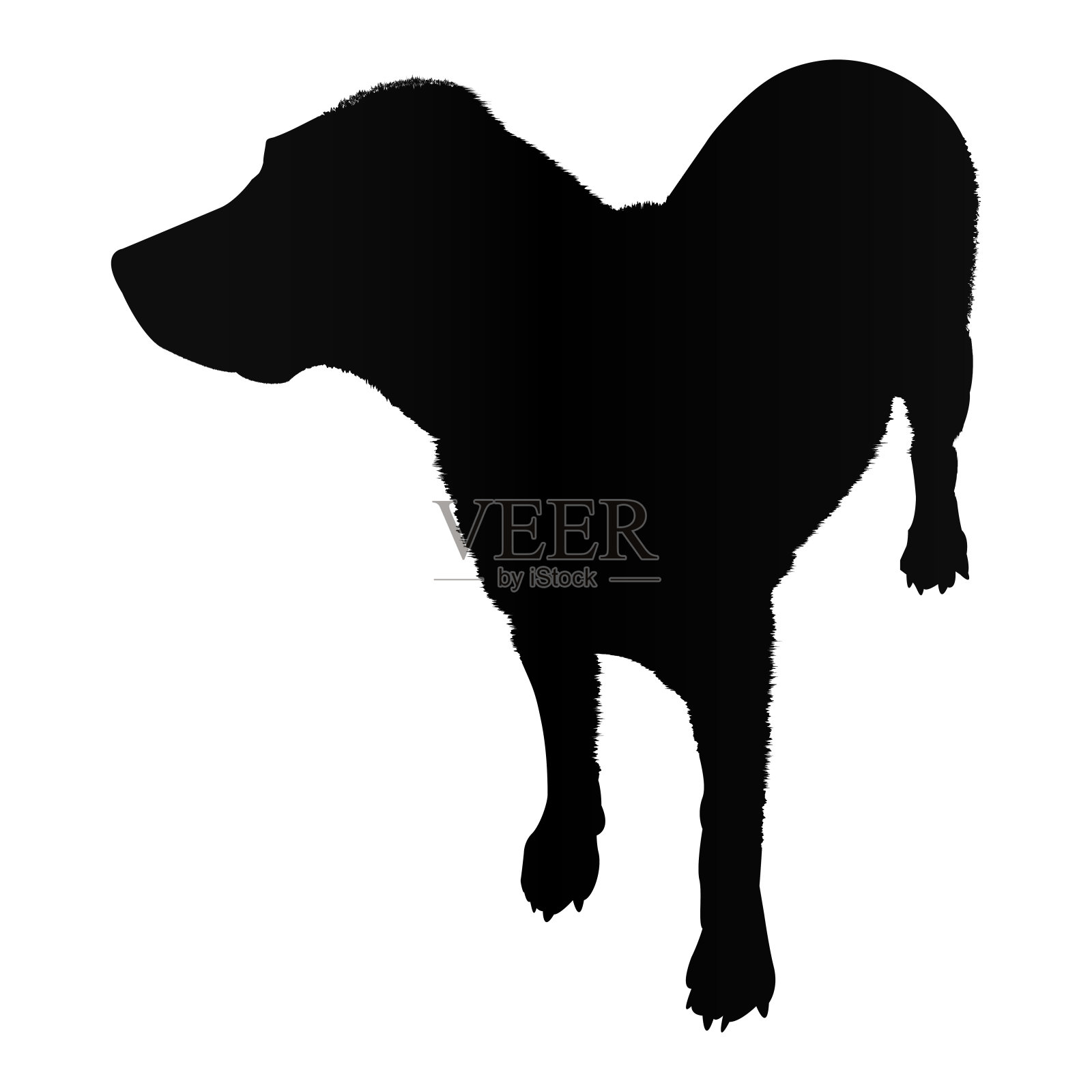 拉布拉多狗剪影孤立在白色背景矢量插图设计元素图片