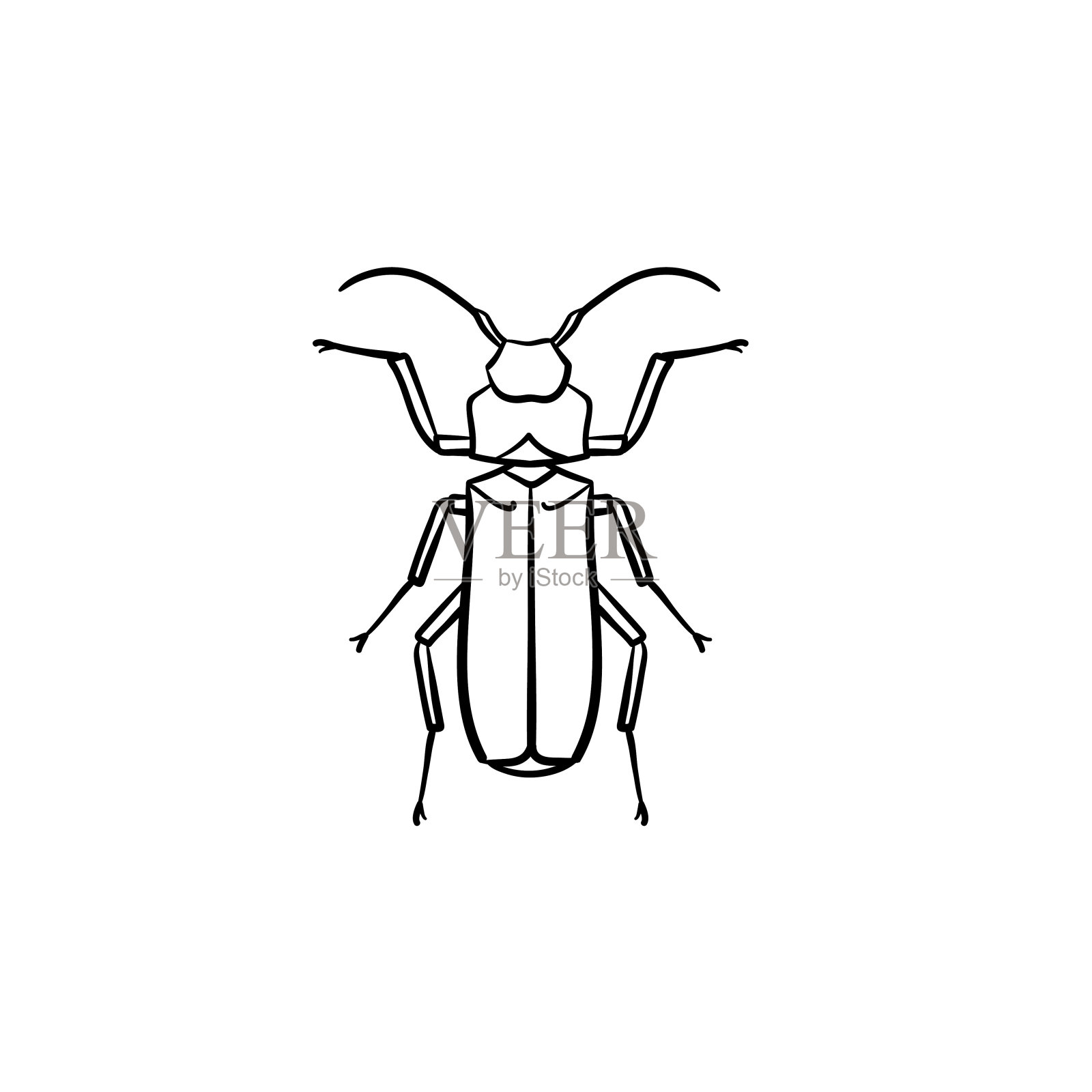 甲虫手绘草图图标设计元素图片