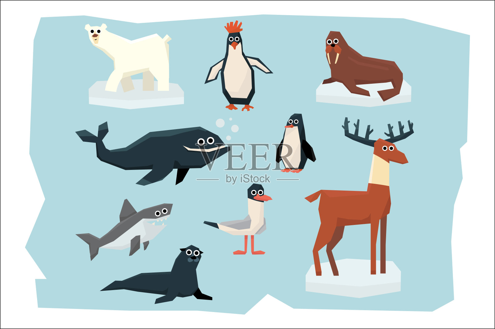 不同的北极和南极动物的卡通集合。北极熊、企鹅、信天翁、驯鹿、海豹、海象、鲨鱼和鲸鱼。彩色平面矢量设计插画图片素材