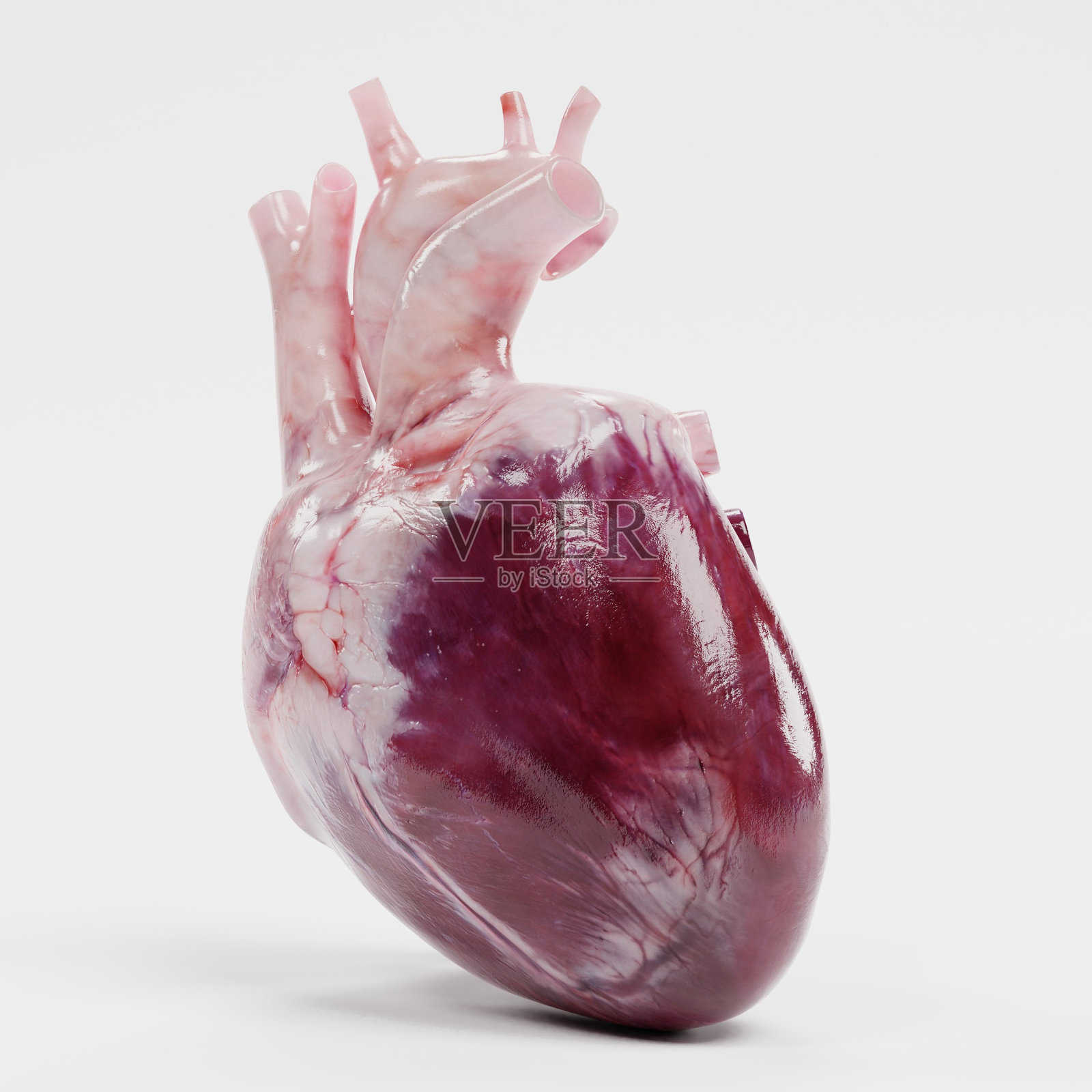 人类心脏的逼真3d渲染照片摄影图片