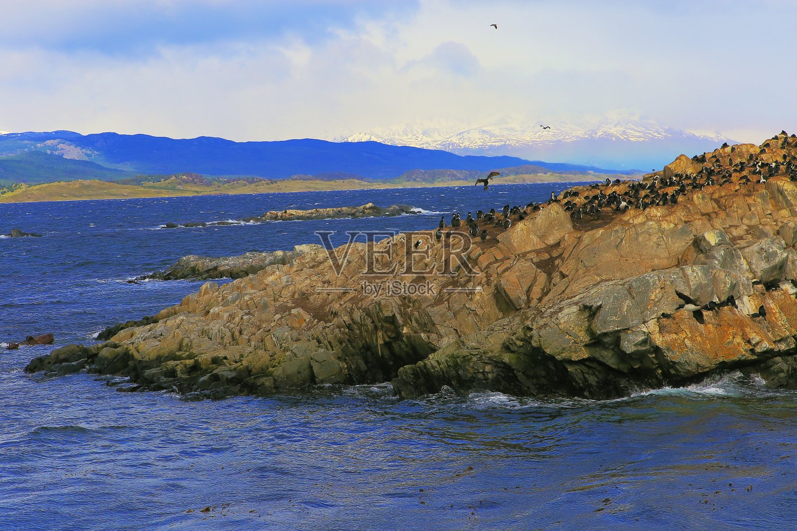 比格尔海峡和海鸟岛-乌斯怀亚雪山照片摄影图片