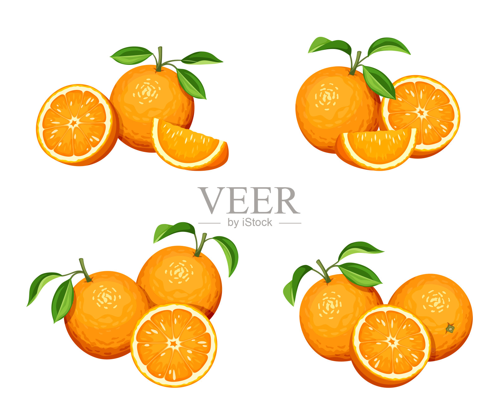 在白色上孤立的橙色果实。矢量插图。设计元素图片