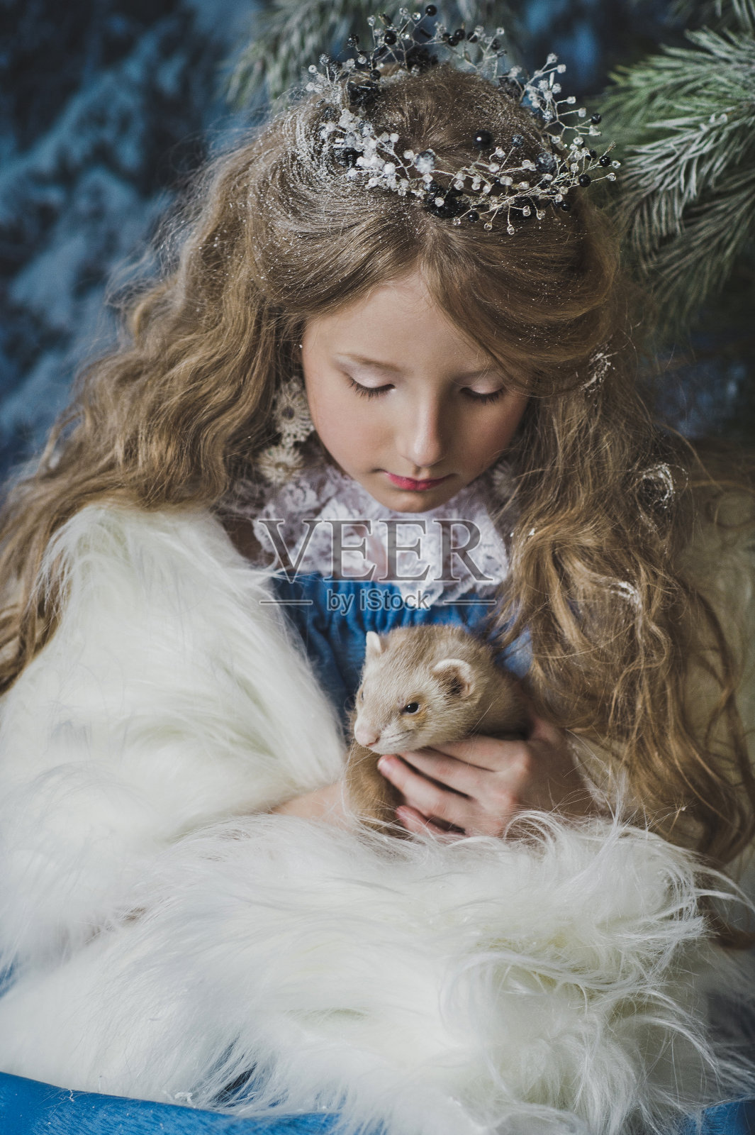 孩子在圣诞树上，手里拿着雪貂。照片摄影图片