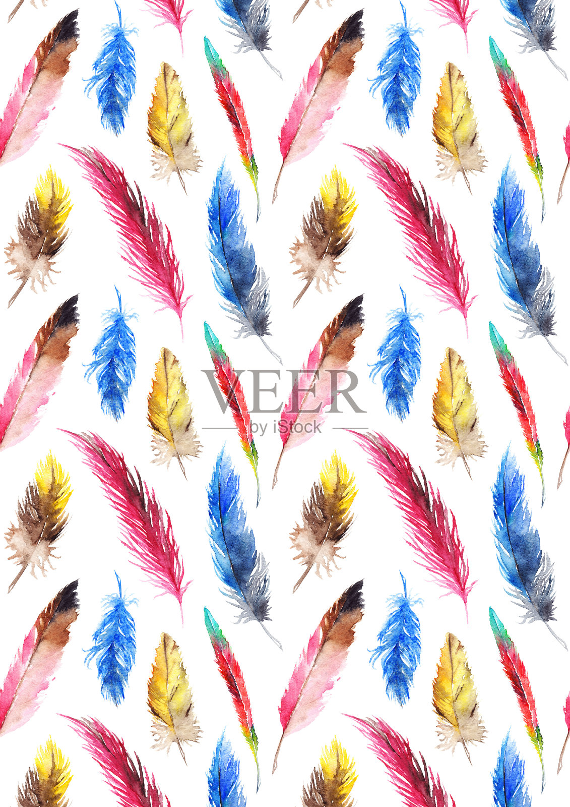 水彩彩色羽毛上的白色背景图案纹理设计元素图片