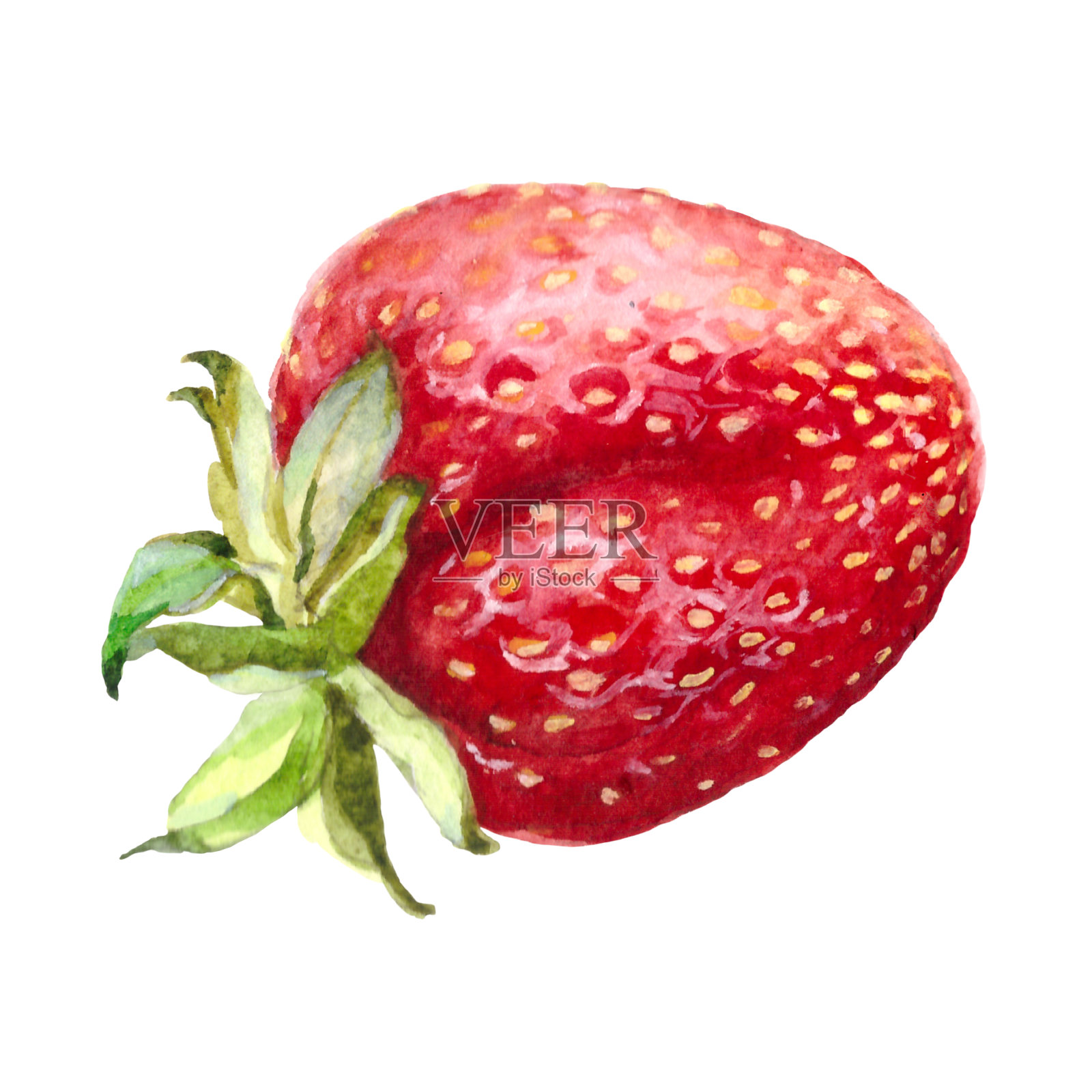 水彩艺术草莓插画图片素材