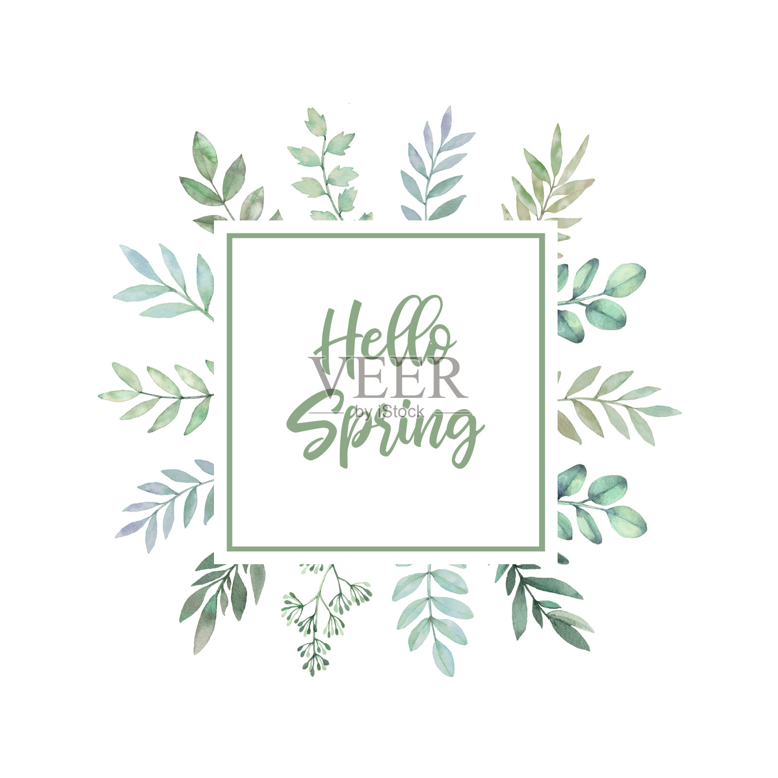 手绘水彩插图。绿色的枝、叶和花的植物学标签。你好,春天。花的设计元素。完美的邀请，贺卡，印刷品，包装等插画图片素材
