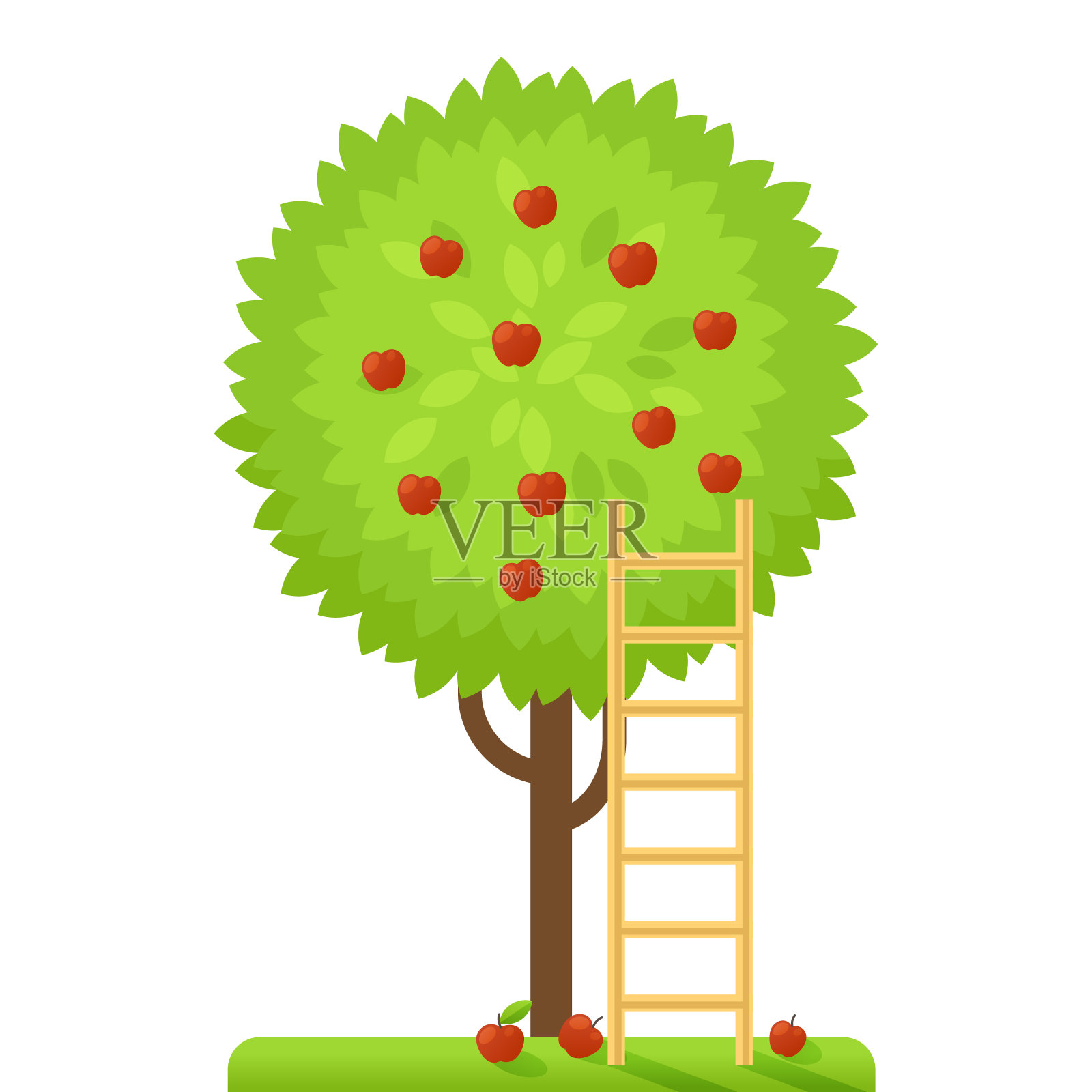 带苹果和梯子的矢量苹果树插画图片素材