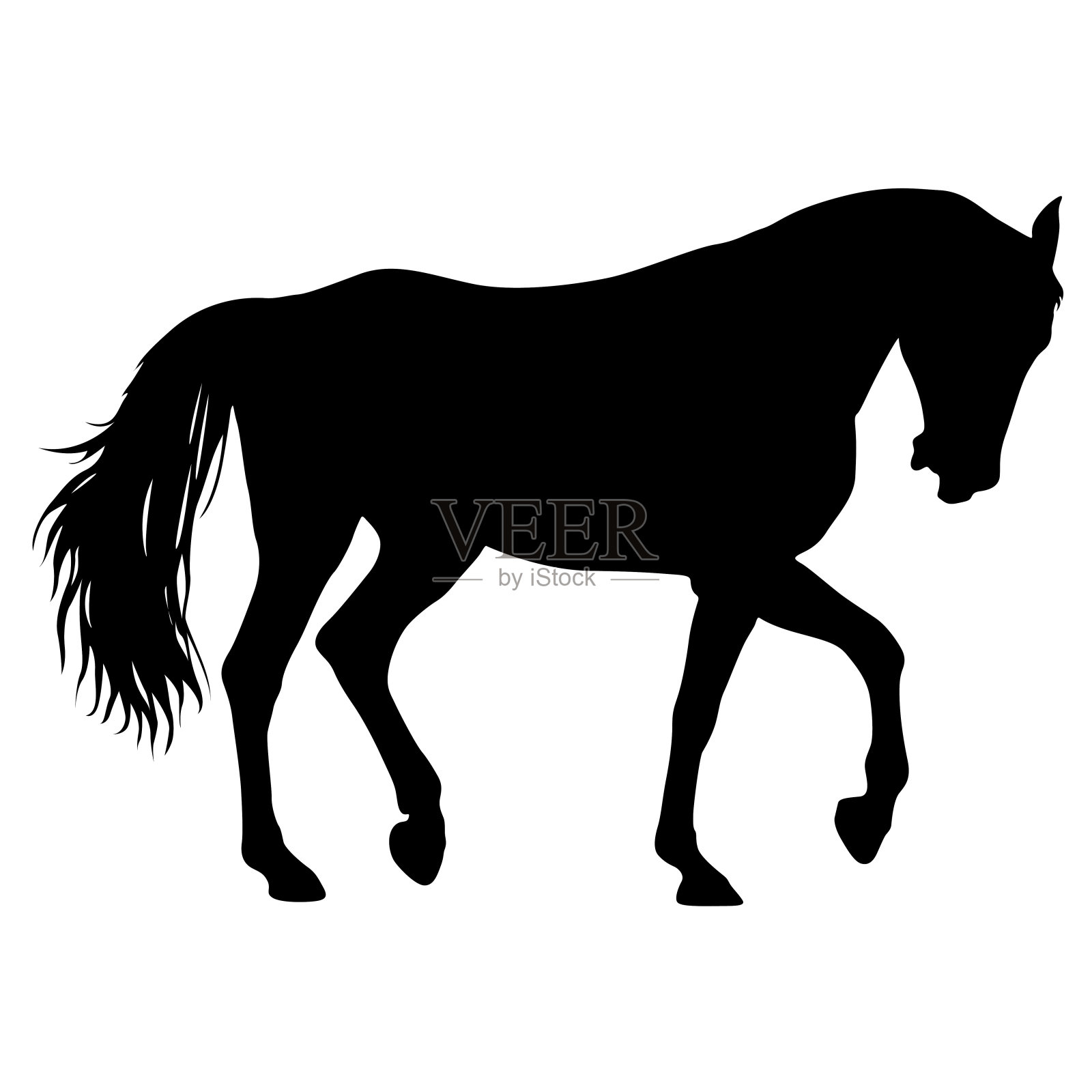 动物剪影的黑色野马马插图插画图片素材