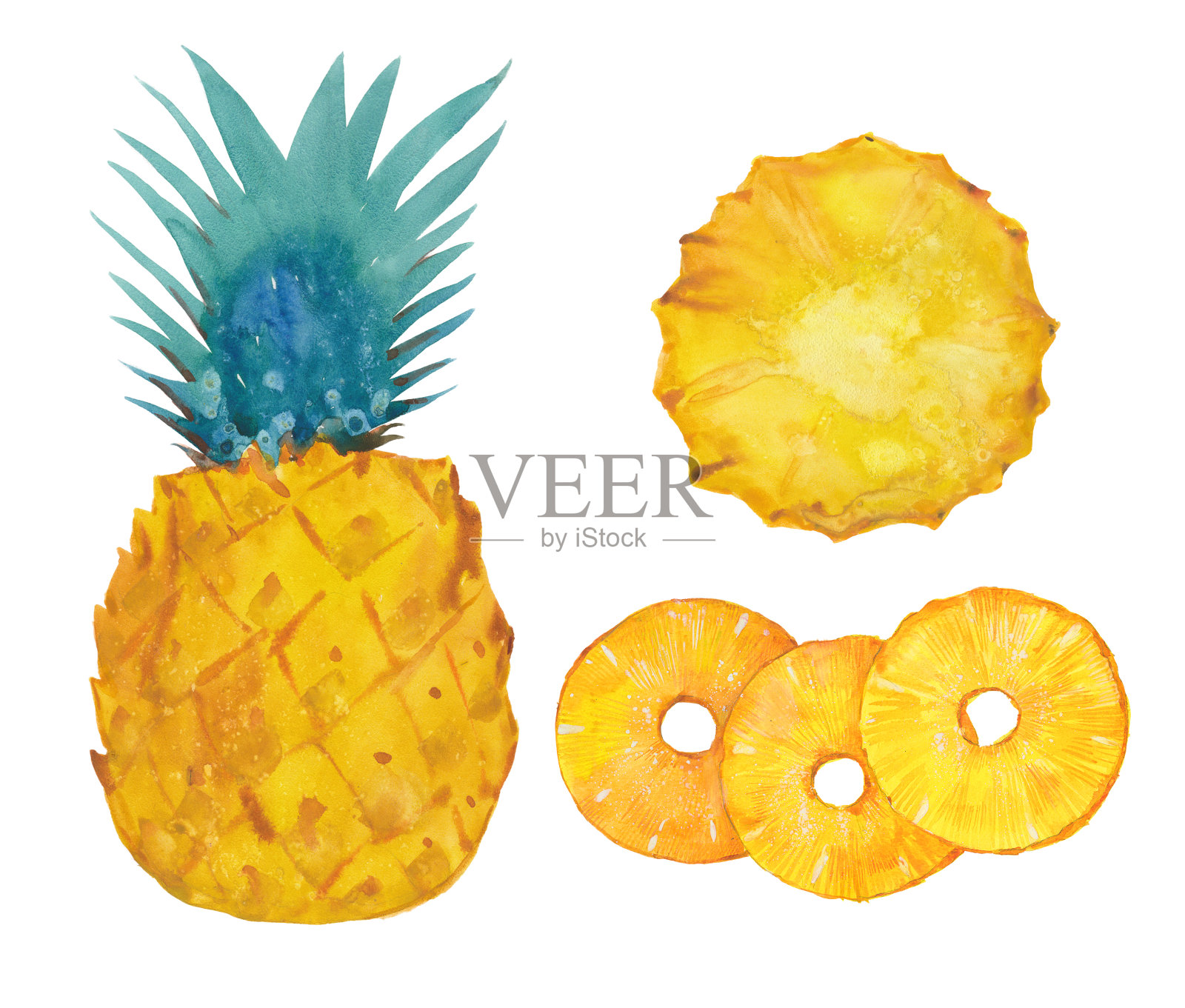 水彩菠萝集插画图片素材