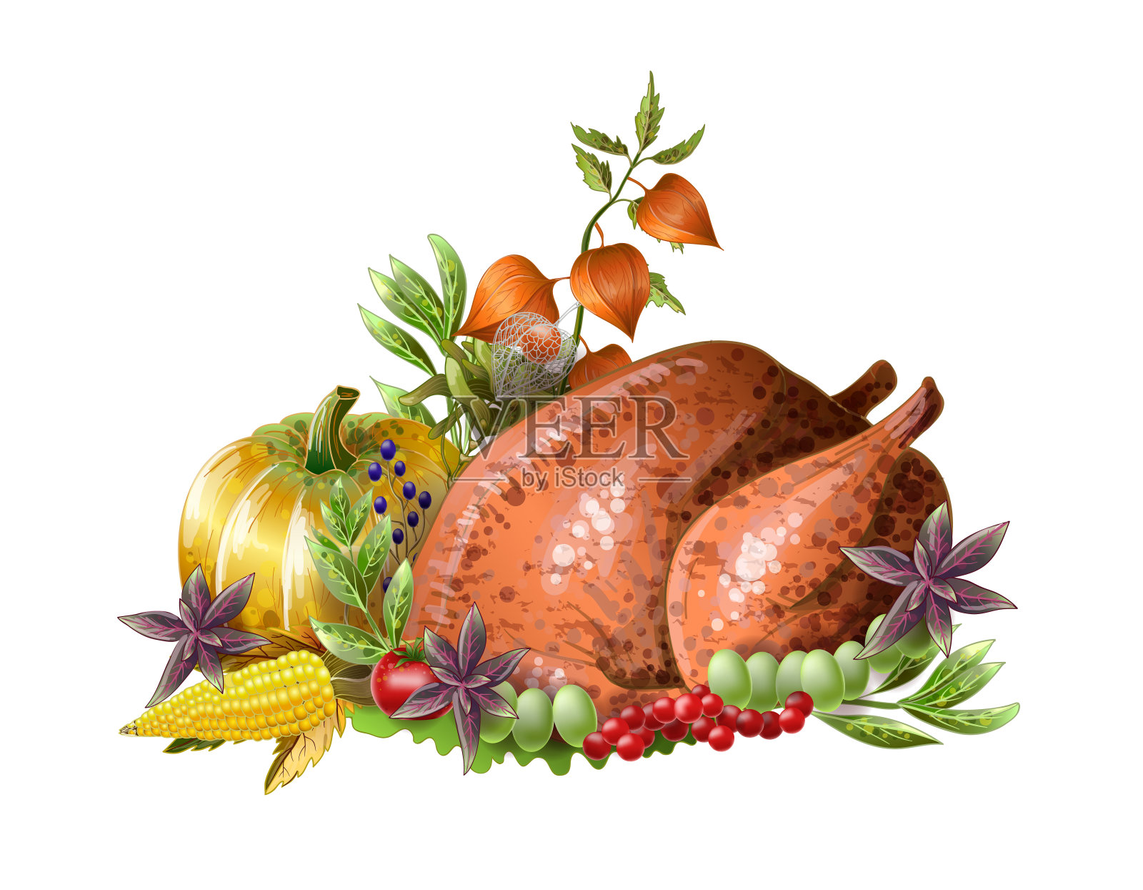 感恩节油炸火鸡与蔬菜和香草隔离。向量。设计元素图片