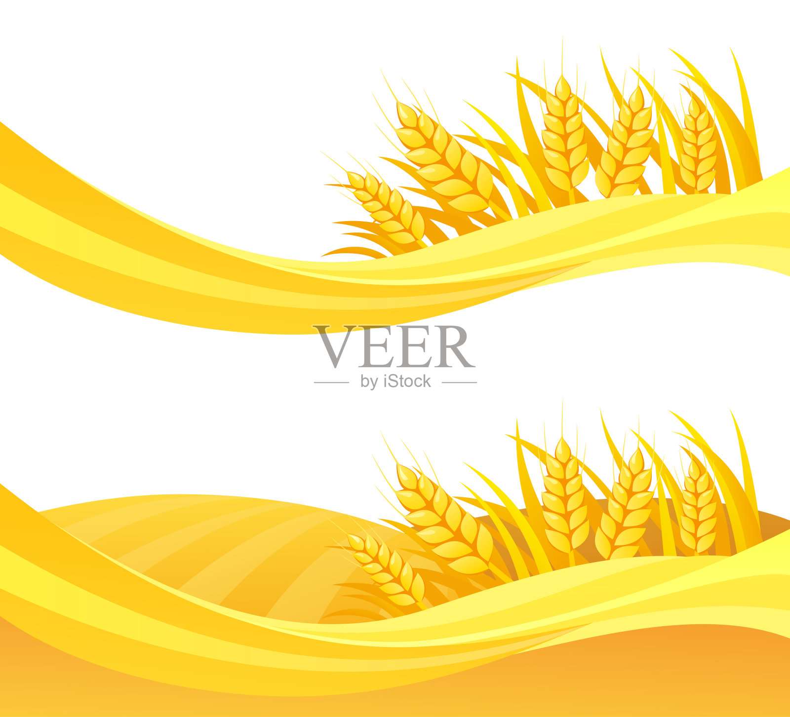 小麦设计插画图片素材
