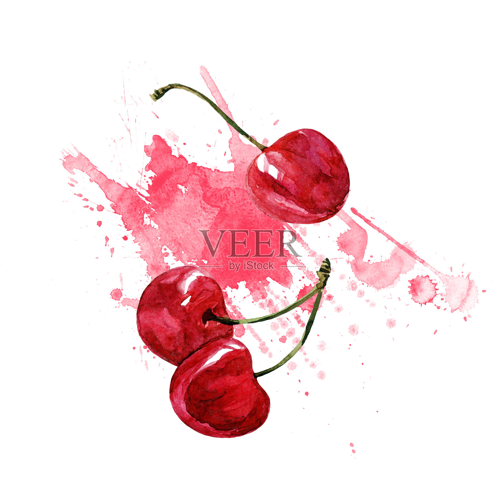 樱桃，水彩画上的白色背景。插画图片素材