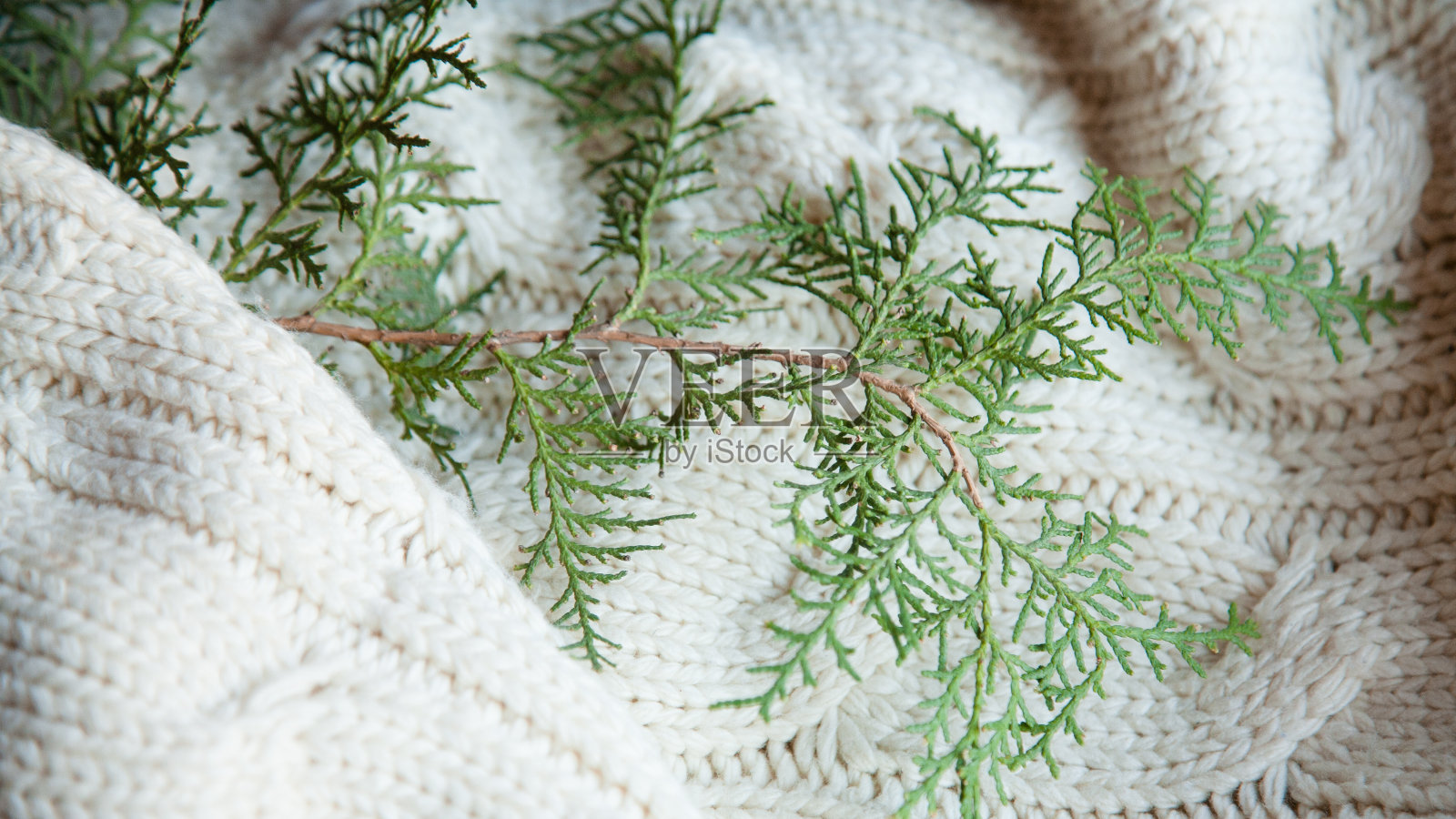 喜庆新年冬暖编织纹理刺柏照片摄影图片