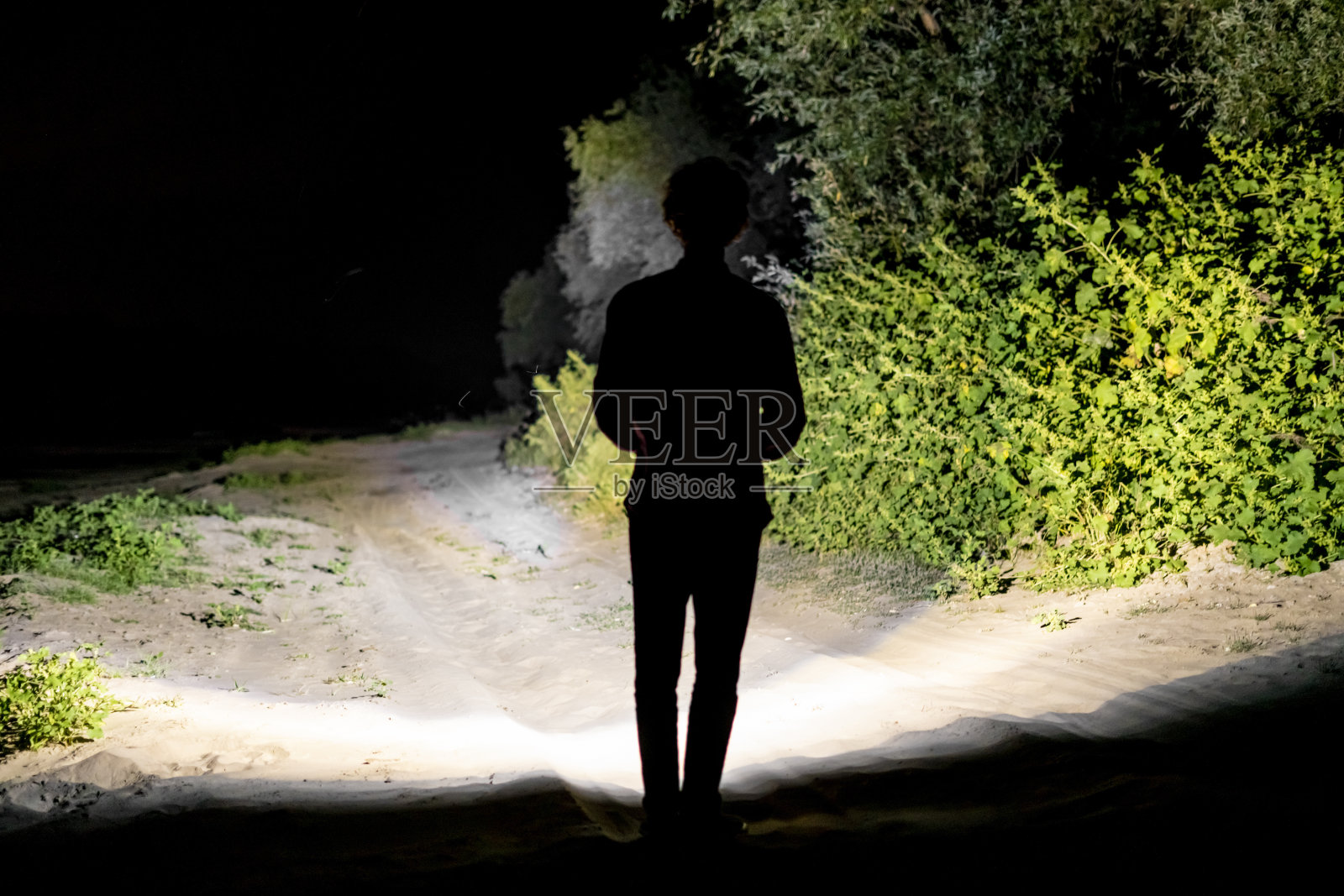 人站在户外在夜晚森林道路上用手电筒照明d的背影照片摄影图片