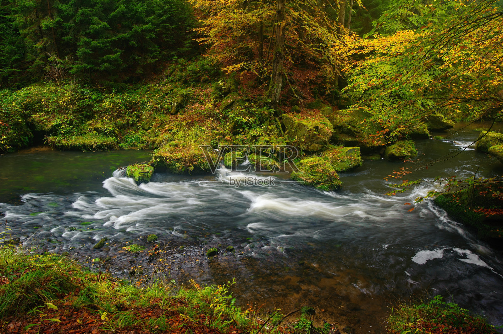 美丽的河流流淌着秋天的森林照片摄影图片