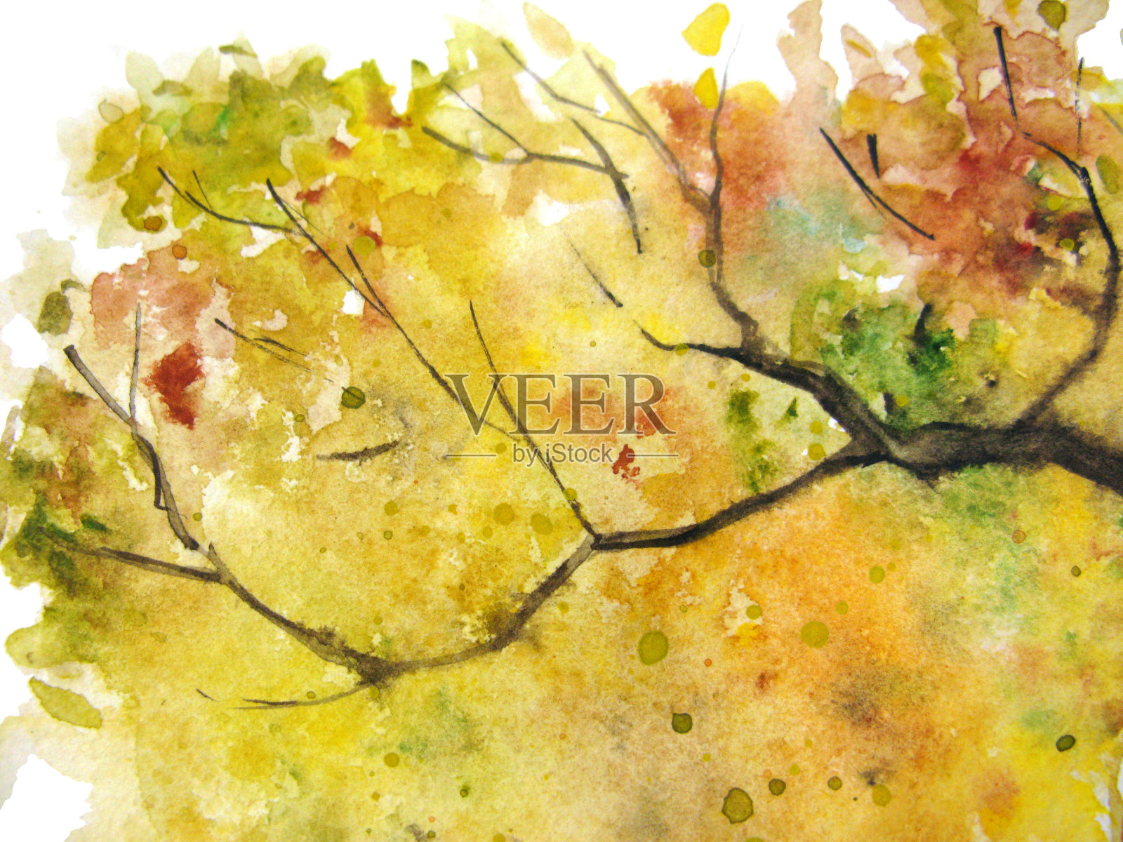 水彩秋色黄橙绿树叶子枝叶纹理背景插画图片素材