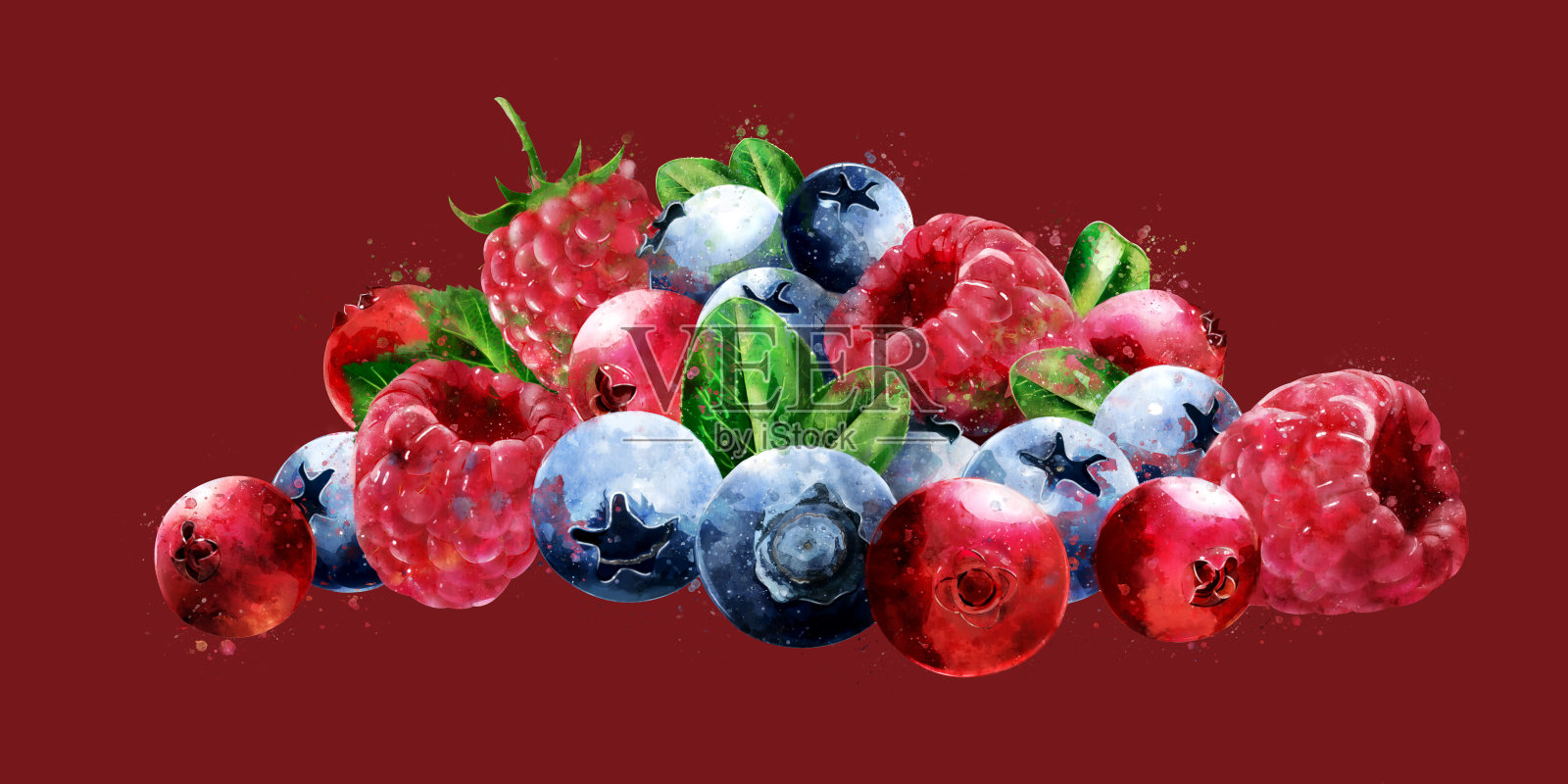 红背景上的树莓、蔓越莓和蓝莓插画图片素材