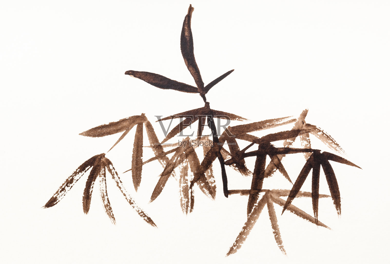 用棕色水彩画的竹叶插画图片素材
