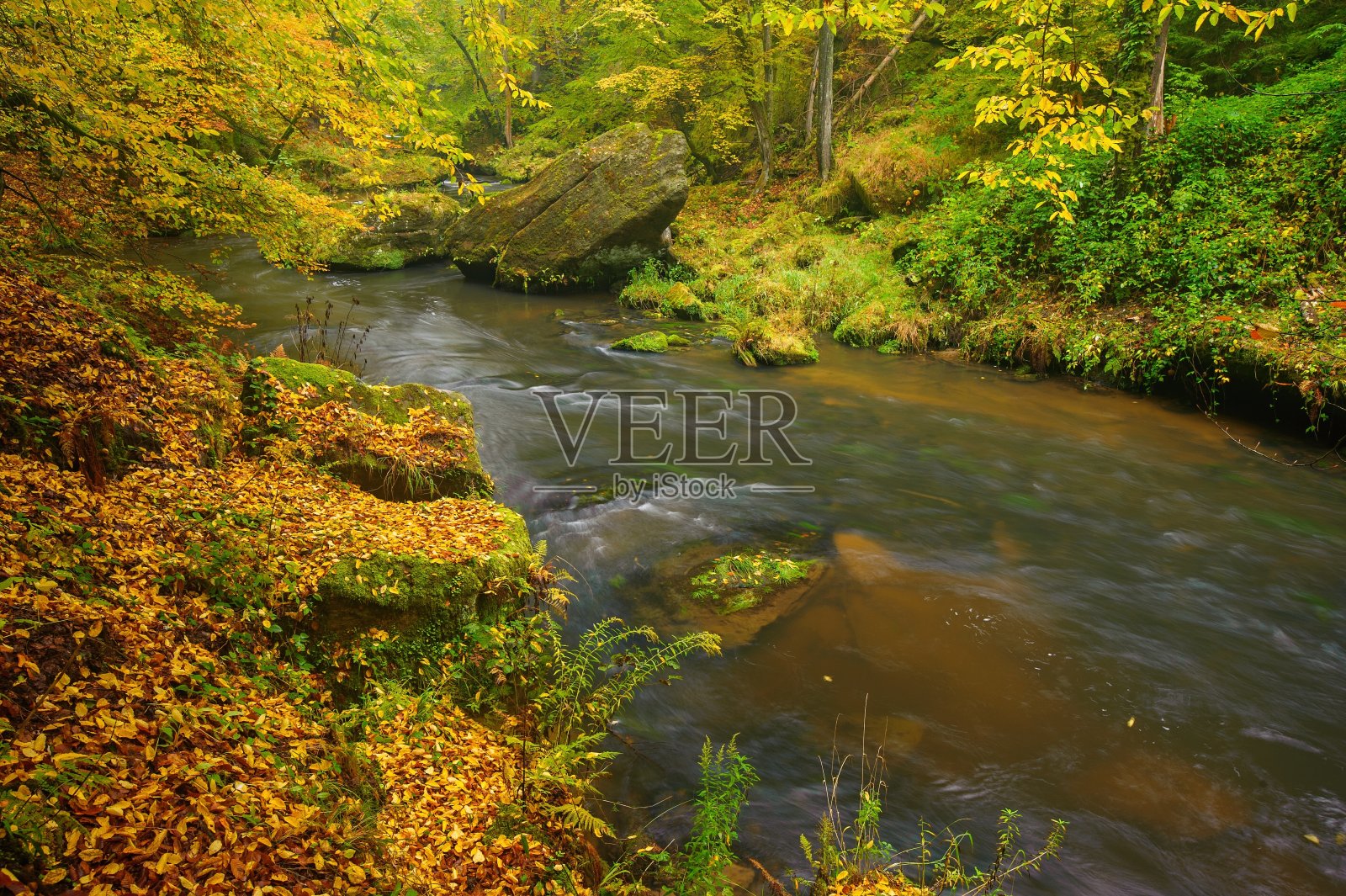 美丽的河流流淌着秋天的森林照片摄影图片