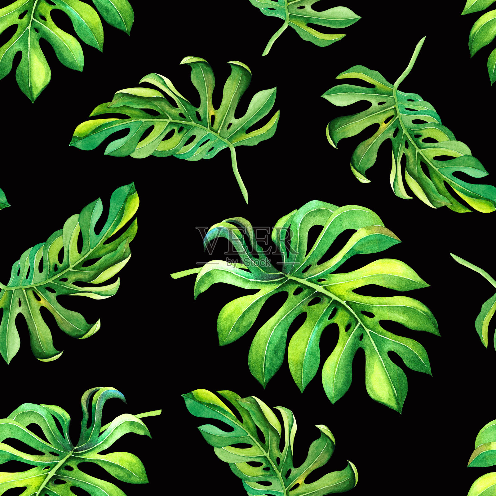 热带模式与怪物植物的叶子在黑色的背景。无缝的夏季纹理装饰，横幅，包装纸设计，织物印花插画图片素材