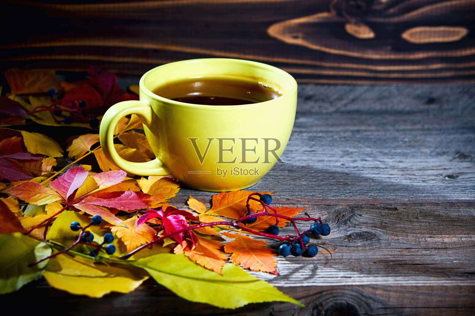 一杯秋叶缤纷的茶。照片摄影图片