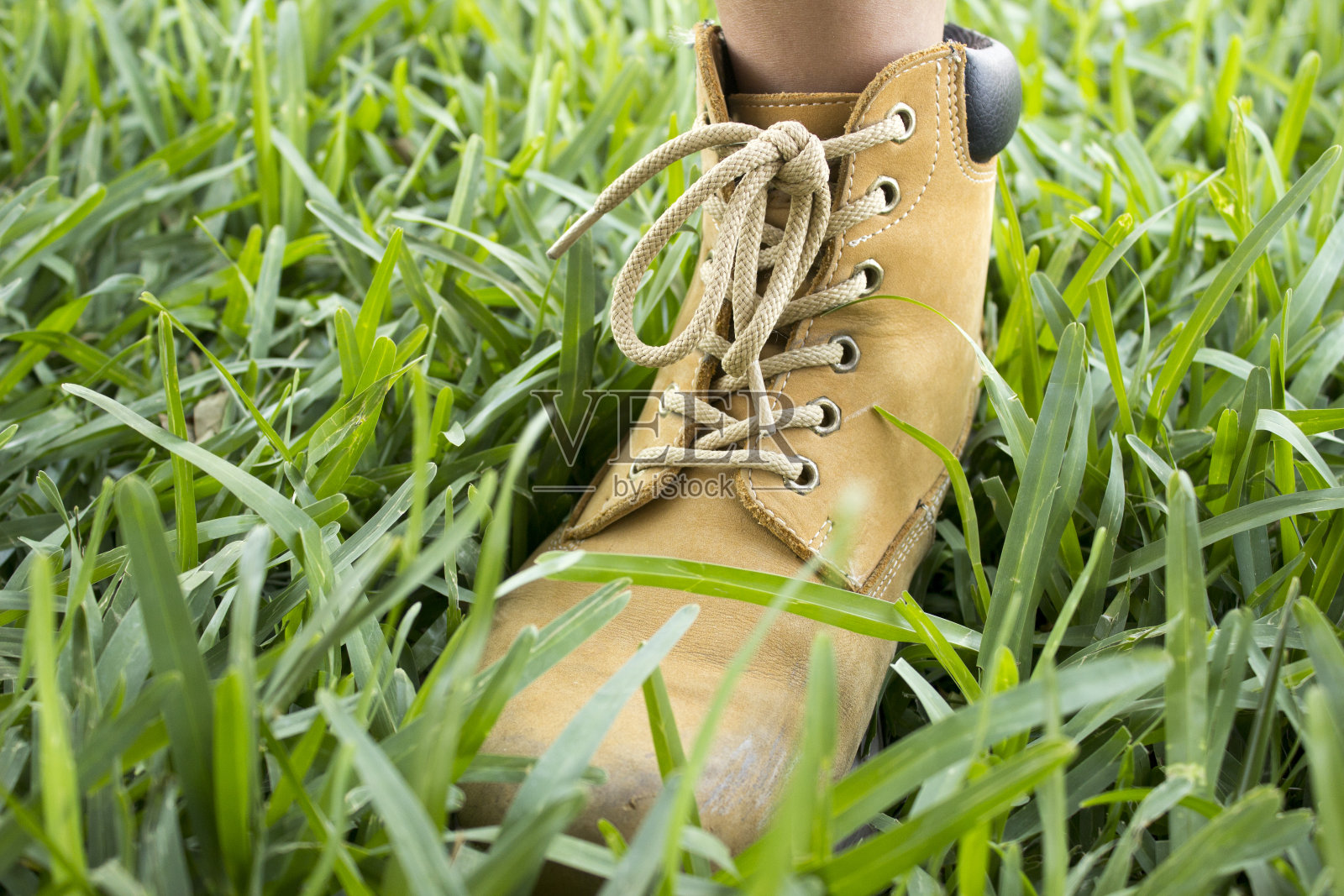 一个站在草地中间的卡其靴的特写。照片摄影图片