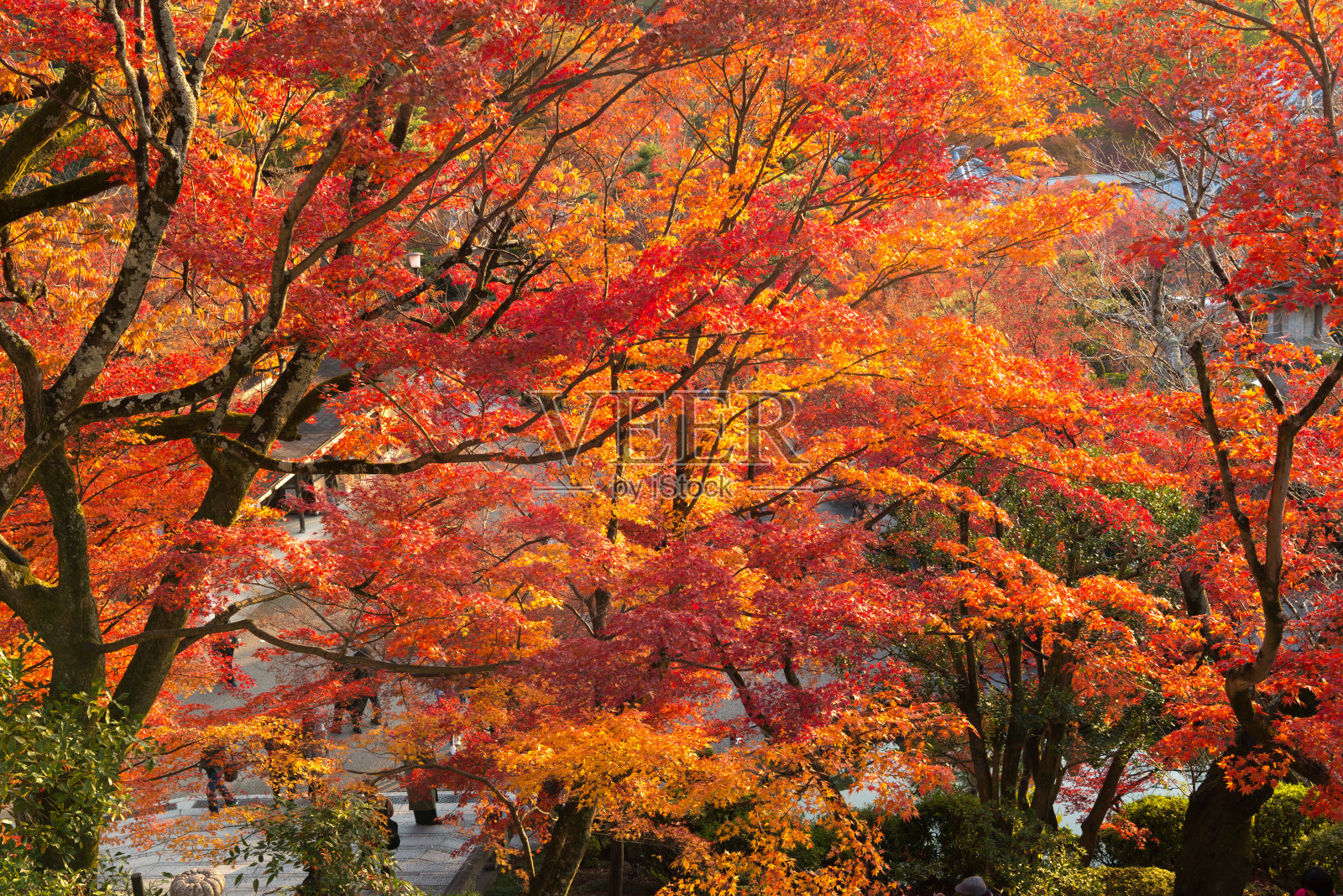 17++ Wallpaper Autumn Season In Japan - Basty Wallpaper
