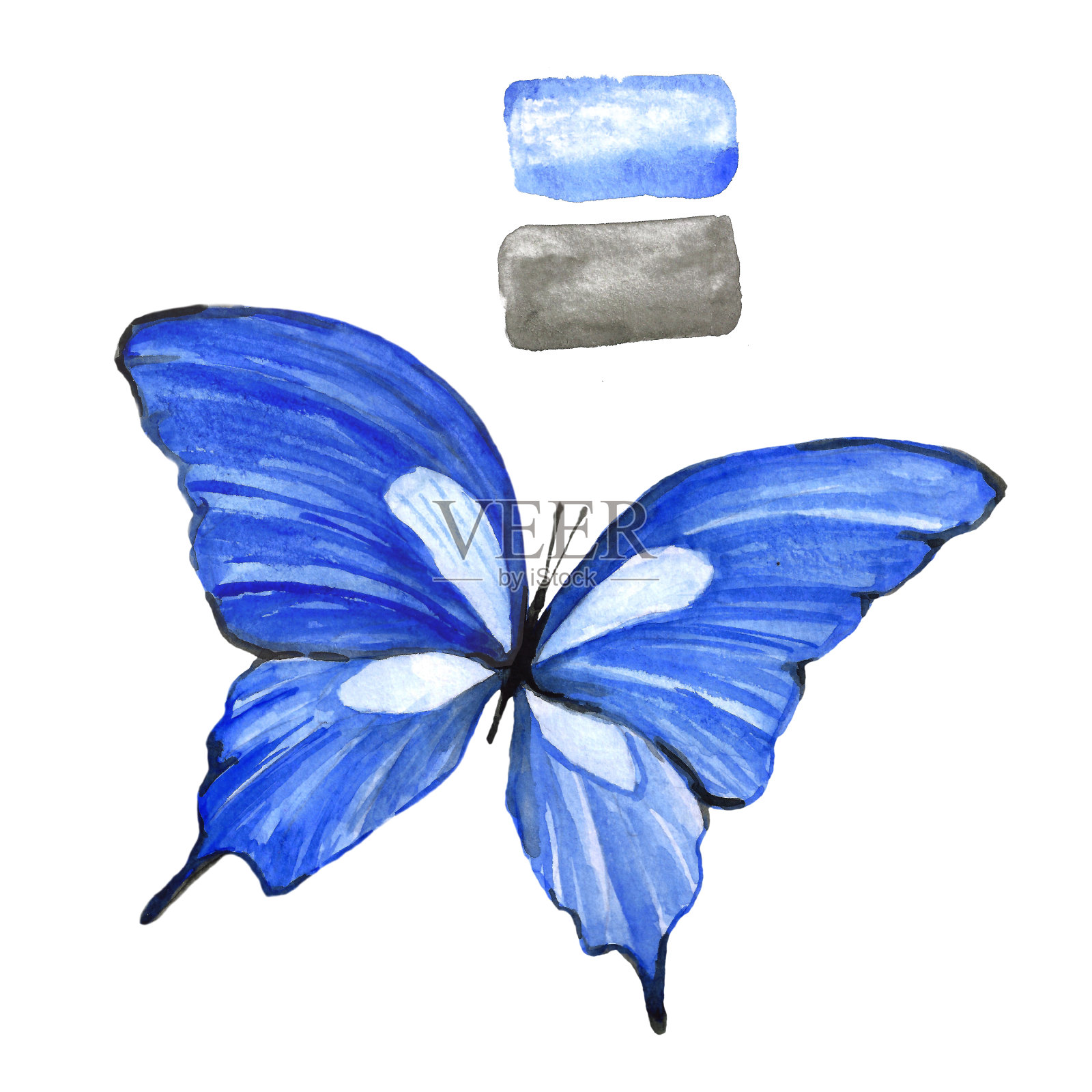 白底水彩蓝蝴蝶。插画图片素材