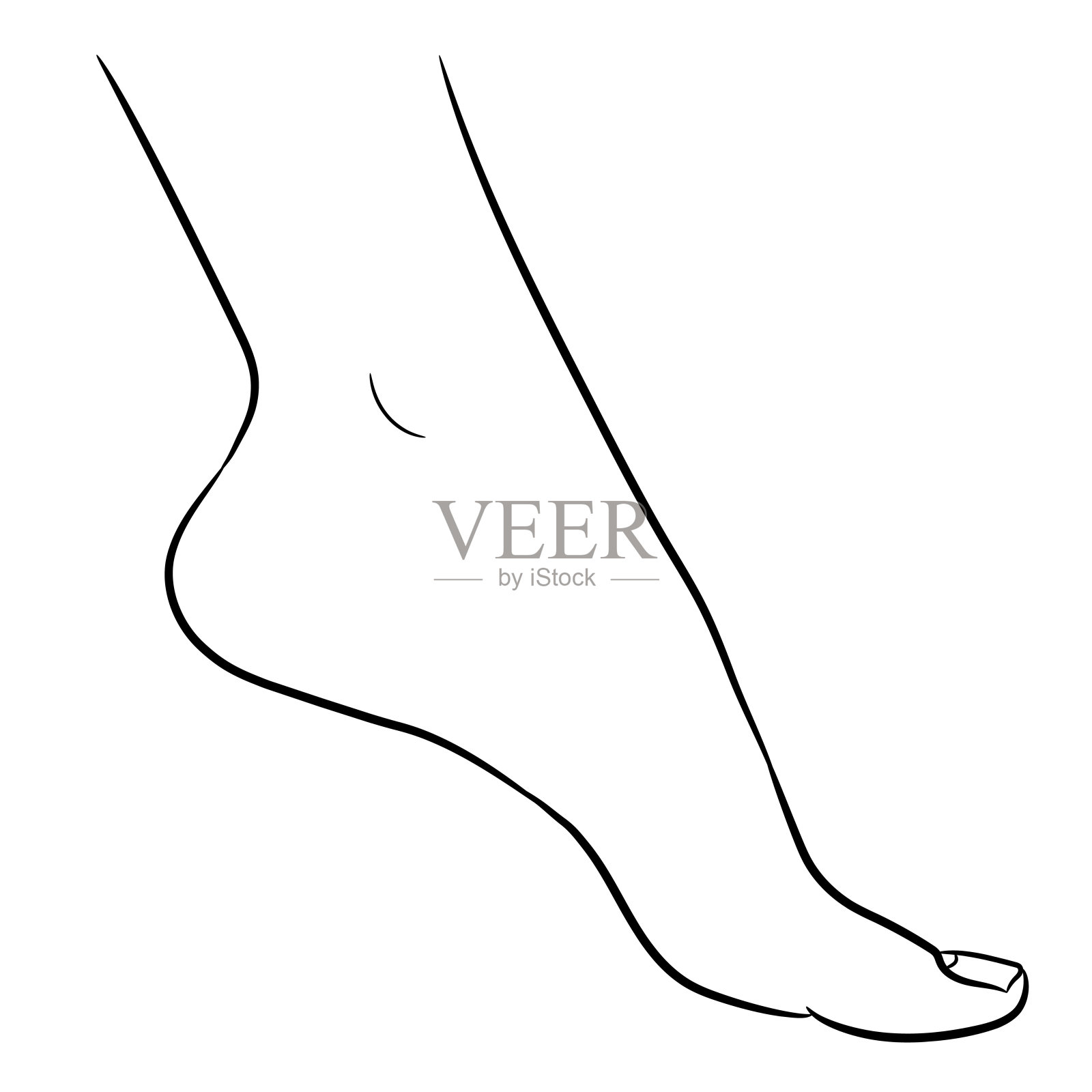 脚女从轮廓黑色笔刷线在白色的背景。矢量插图。设计元素图片