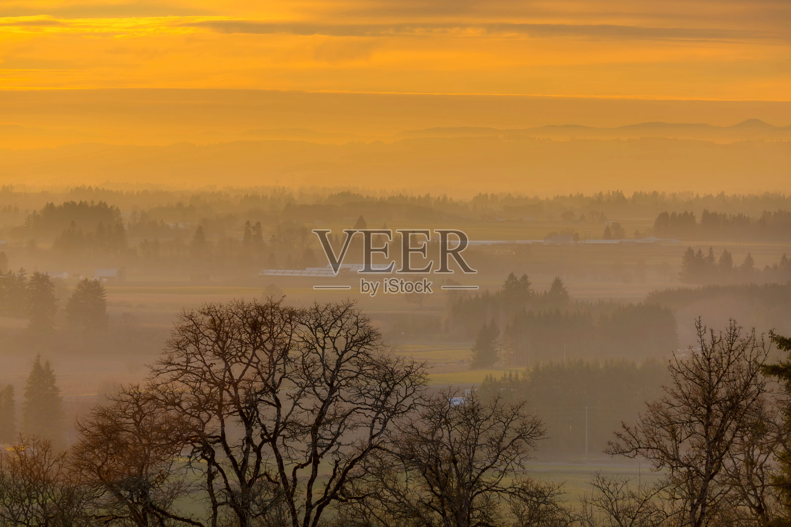 冬季，俄勒冈州农村农田上空的金色夕阳照片摄影图片