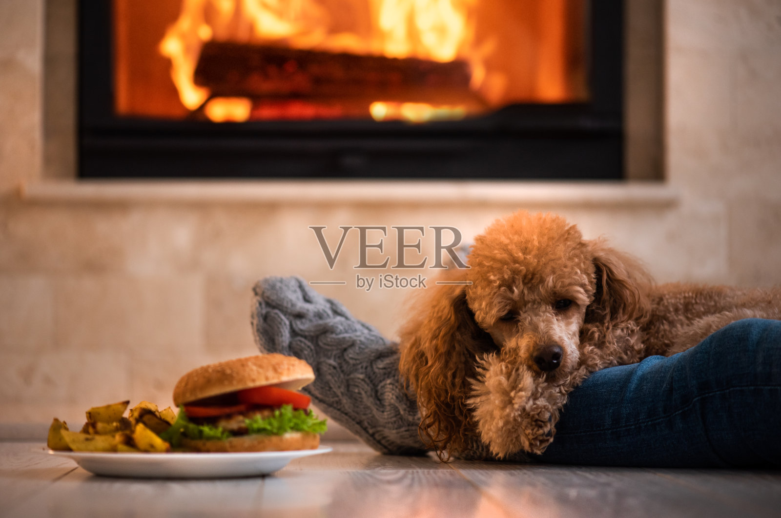 一个女人和她的狗坐在地板上，在壁炉的背景上吃汉堡包。照片摄影图片